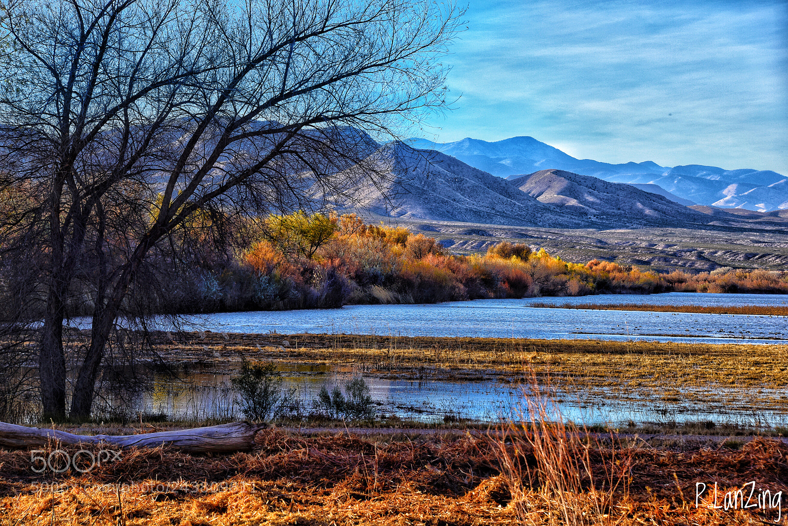 Nikon D810 sample photo. Bosque del apache, new photography