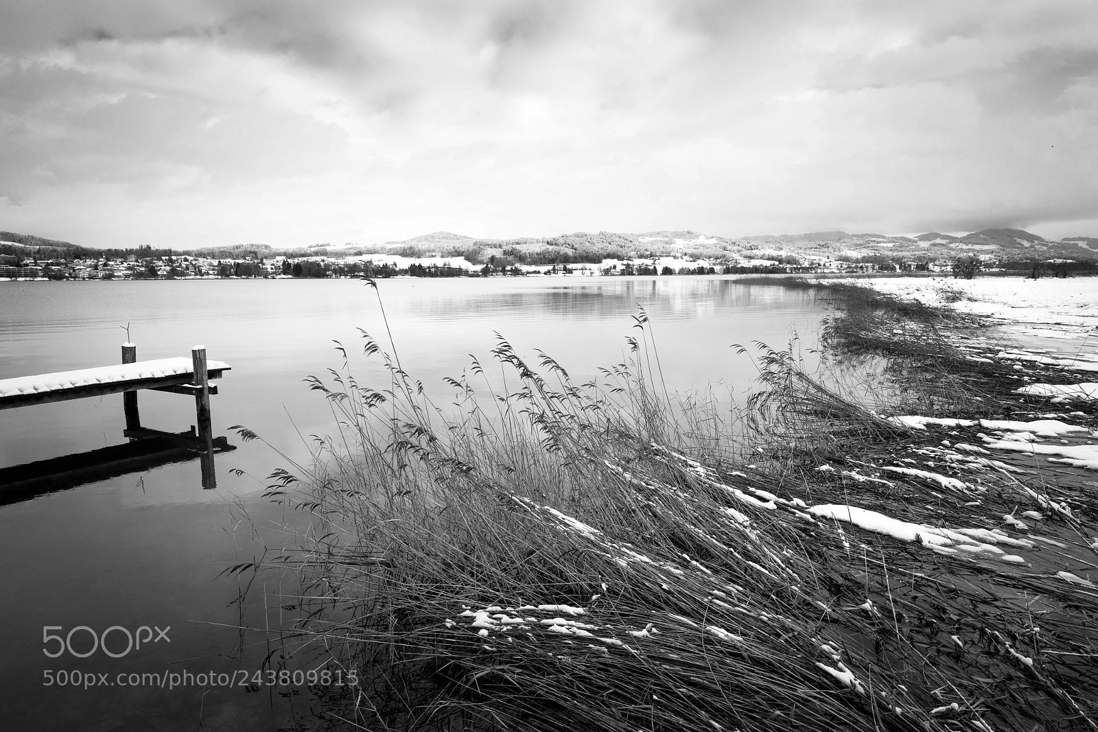 Nikon D850 sample photo. Pfäffikersee, switzerland. winter 2017 photography