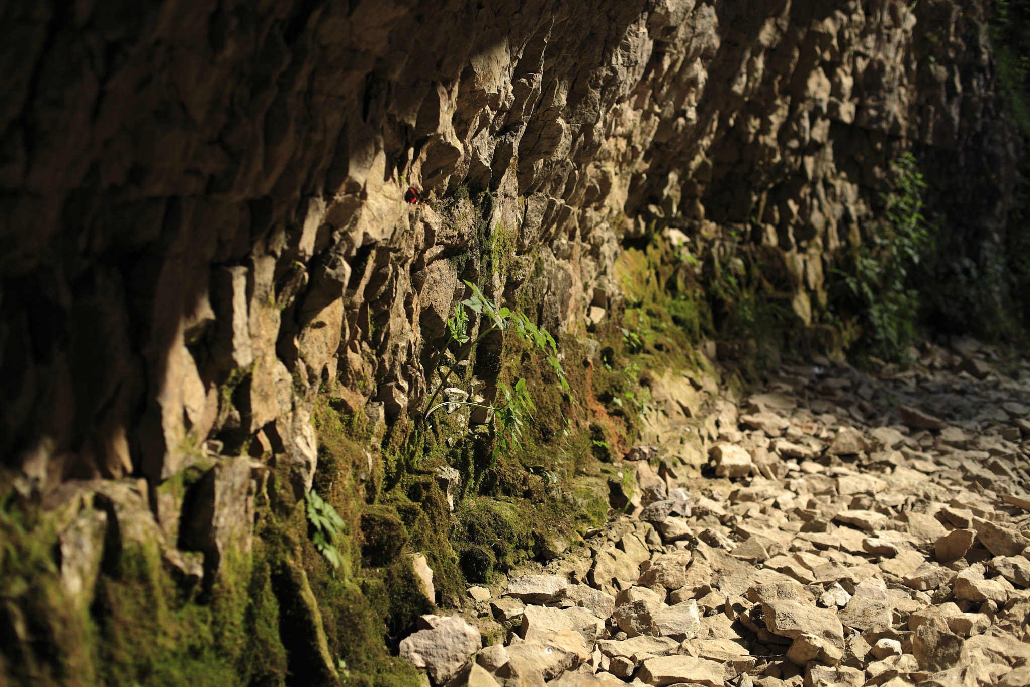 Canon EF 50mm F1.4 USM sample photo. Cascade de la billaude, franche comté photography