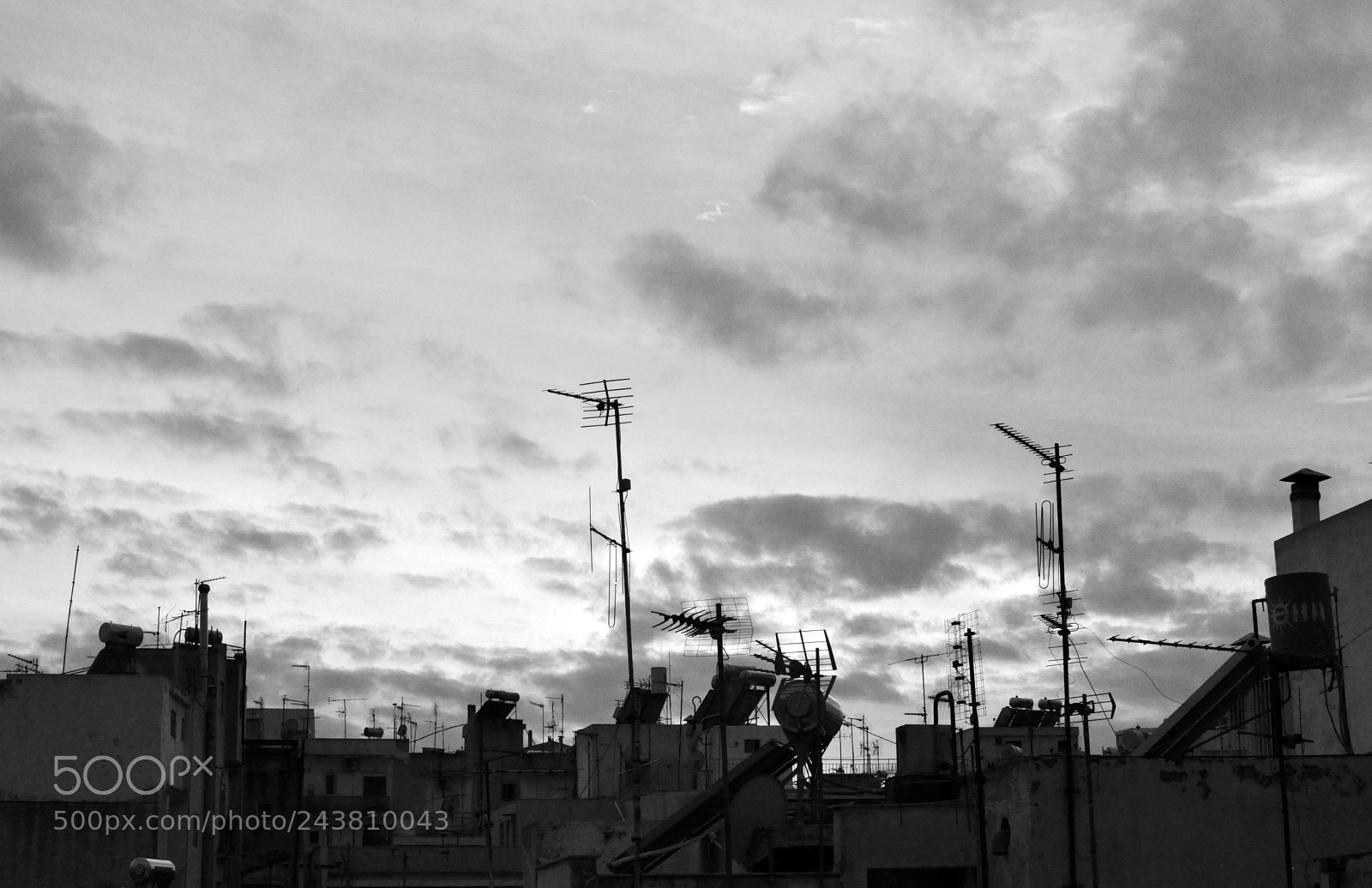 Nikon D5000 sample photo. Silhouettes photography