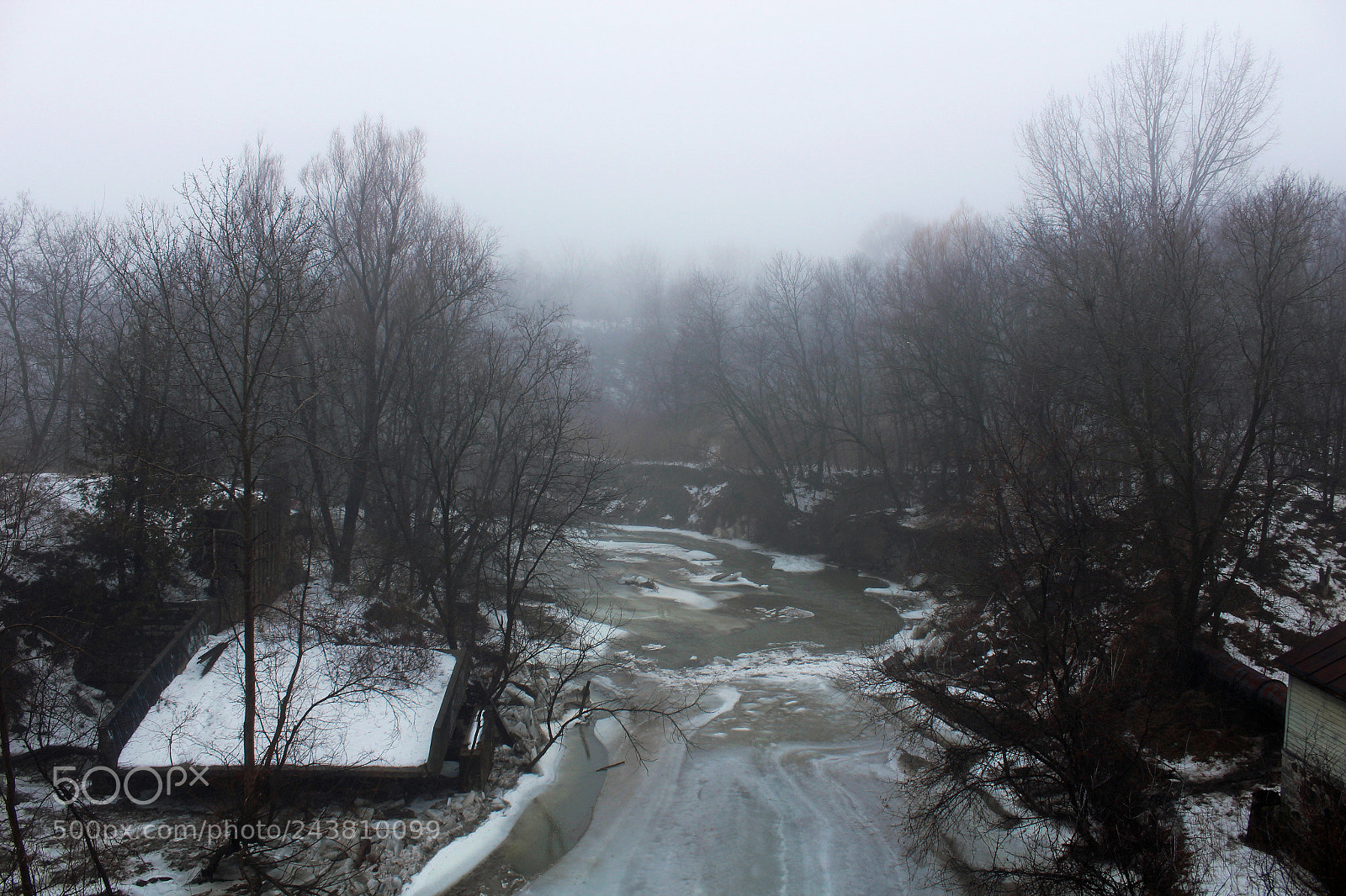 Canon EOS 1200D (EOS Rebel T5 / EOS Kiss X70 / EOS Hi) sample photo. Foggy morning photography