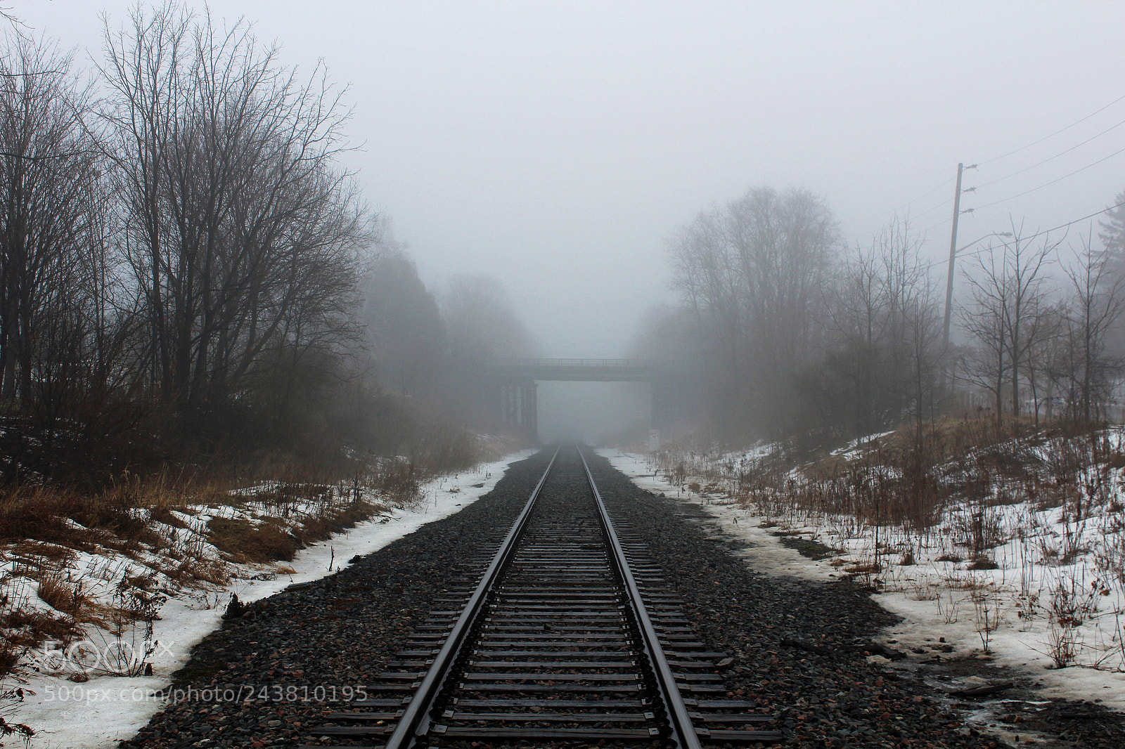 Canon EOS 1200D (EOS Rebel T5 / EOS Kiss X70 / EOS Hi) sample photo. Foggy morning photography