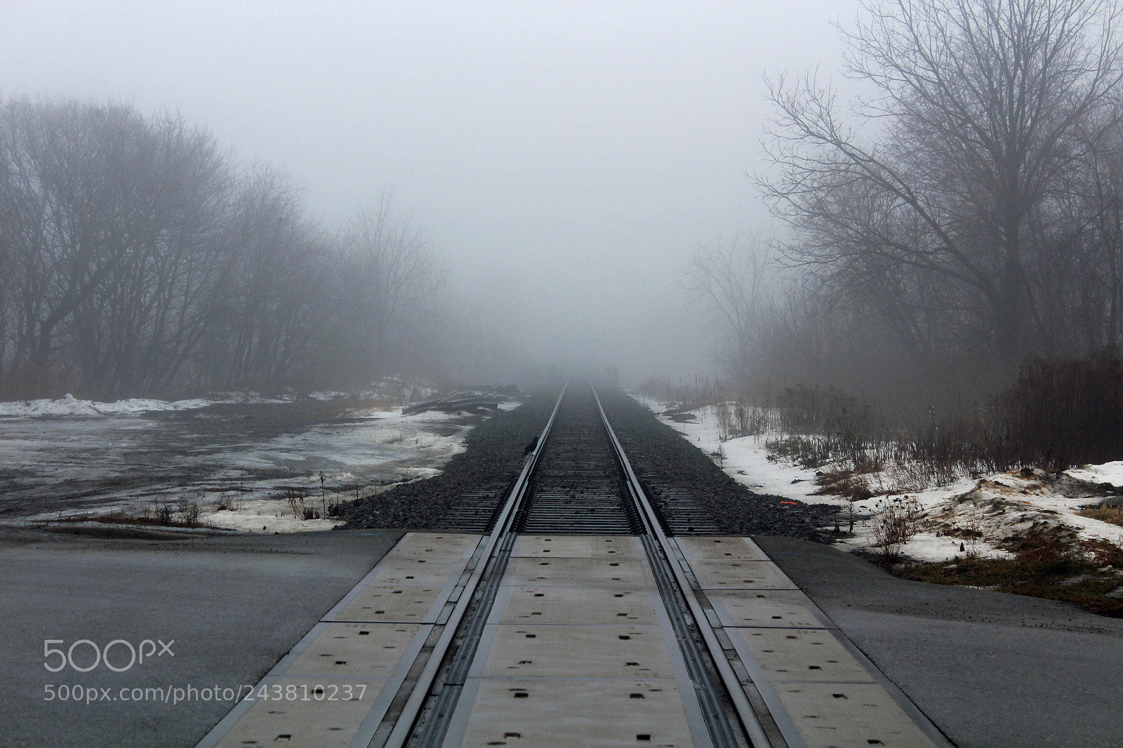 Canon EOS 1200D (EOS Rebel T5 / EOS Kiss X70 / EOS Hi) sample photo. Foggy morning photography