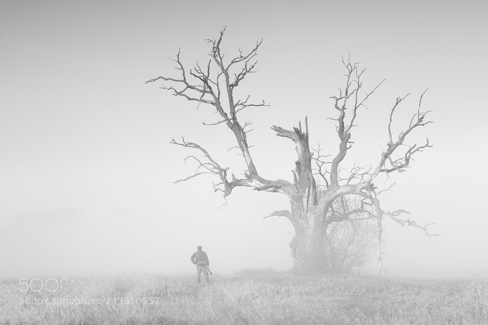 Canon EOS 60D sample photo. Reverie in fog photography