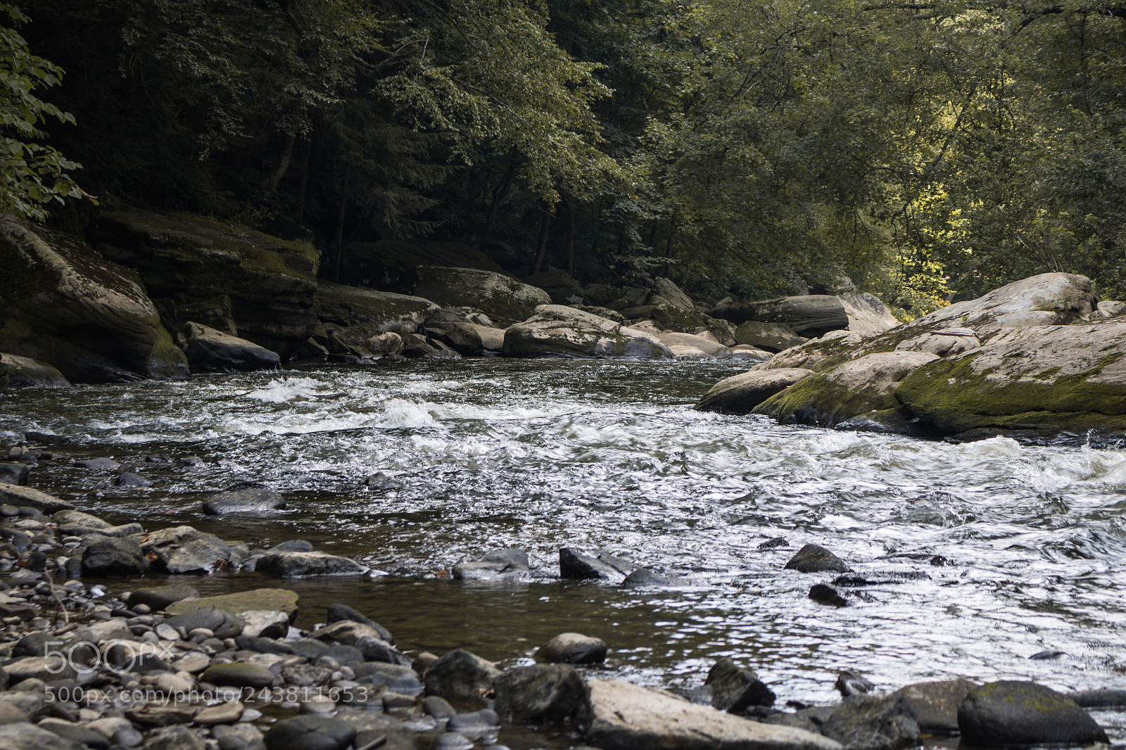Canon EOS 750D (EOS Rebel T6i / EOS Kiss X8i) sample photo. Creek photography