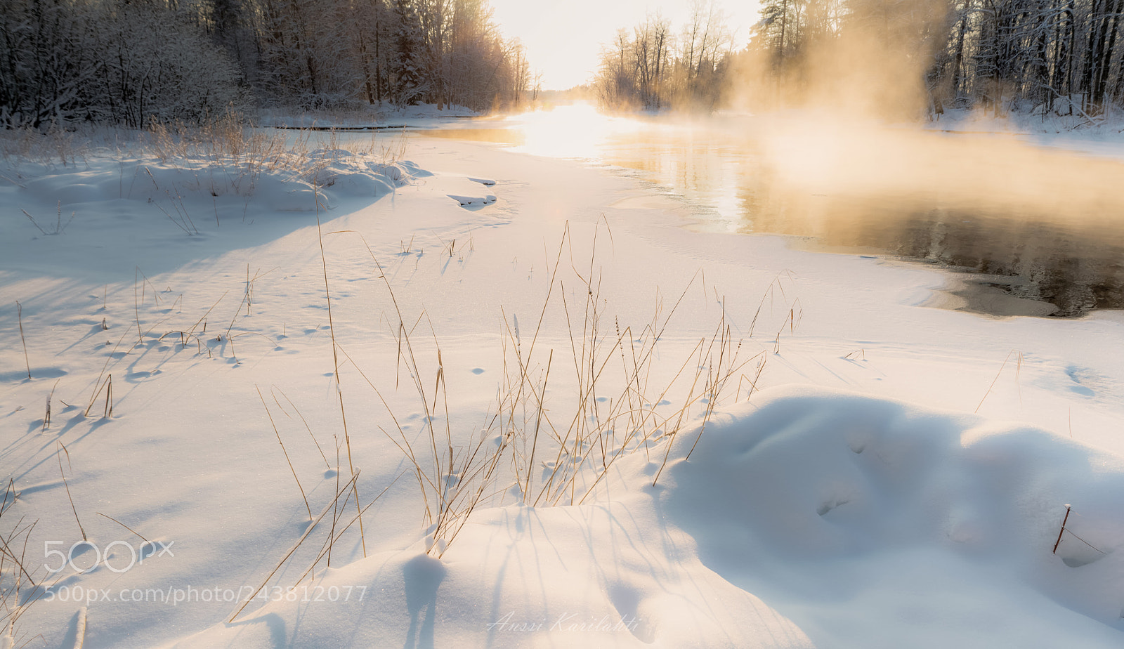 Nikon D600 sample photo. Cold steam photography