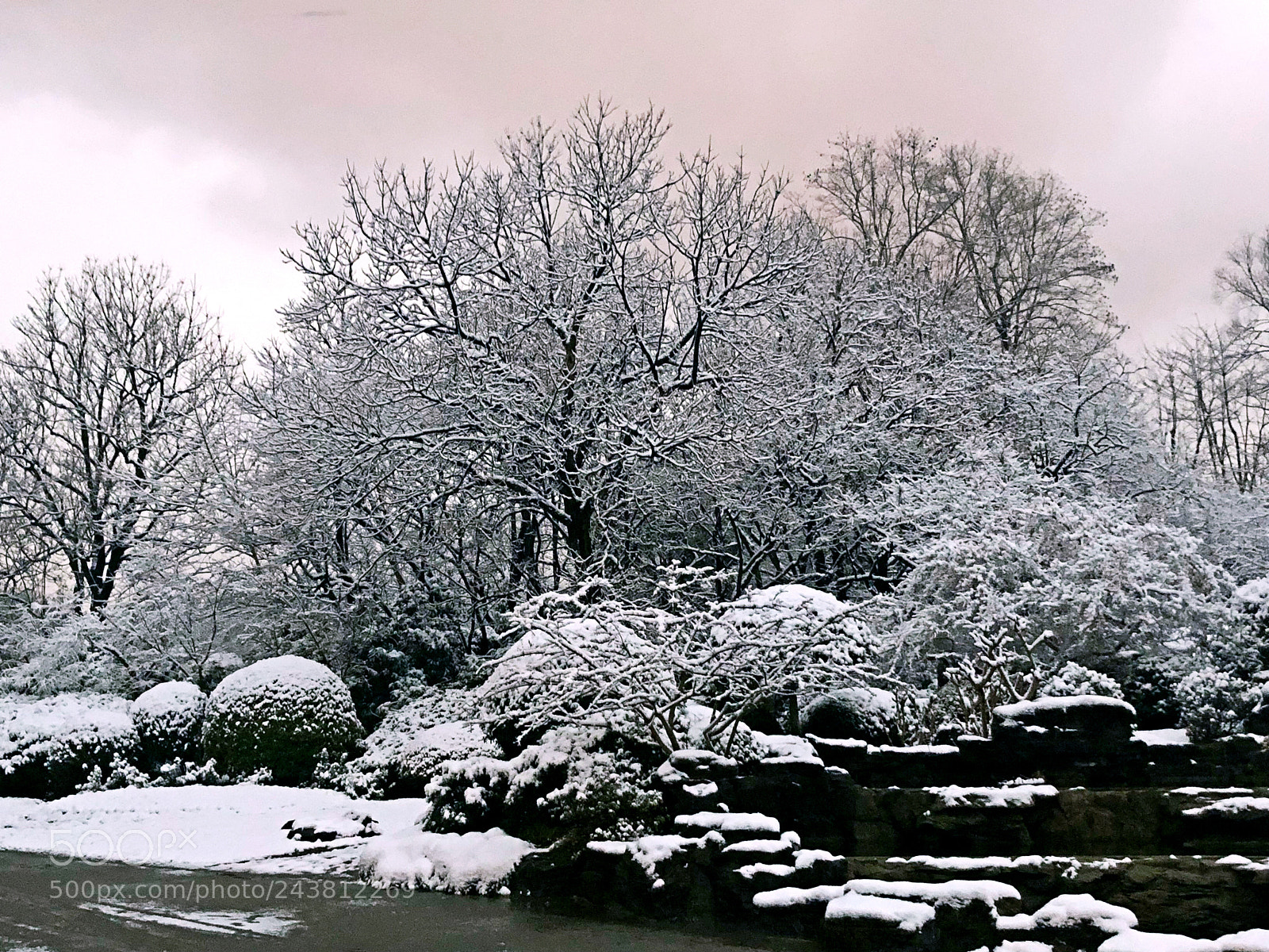 Apple iPhone X sample photo. ❄️☃️ photography