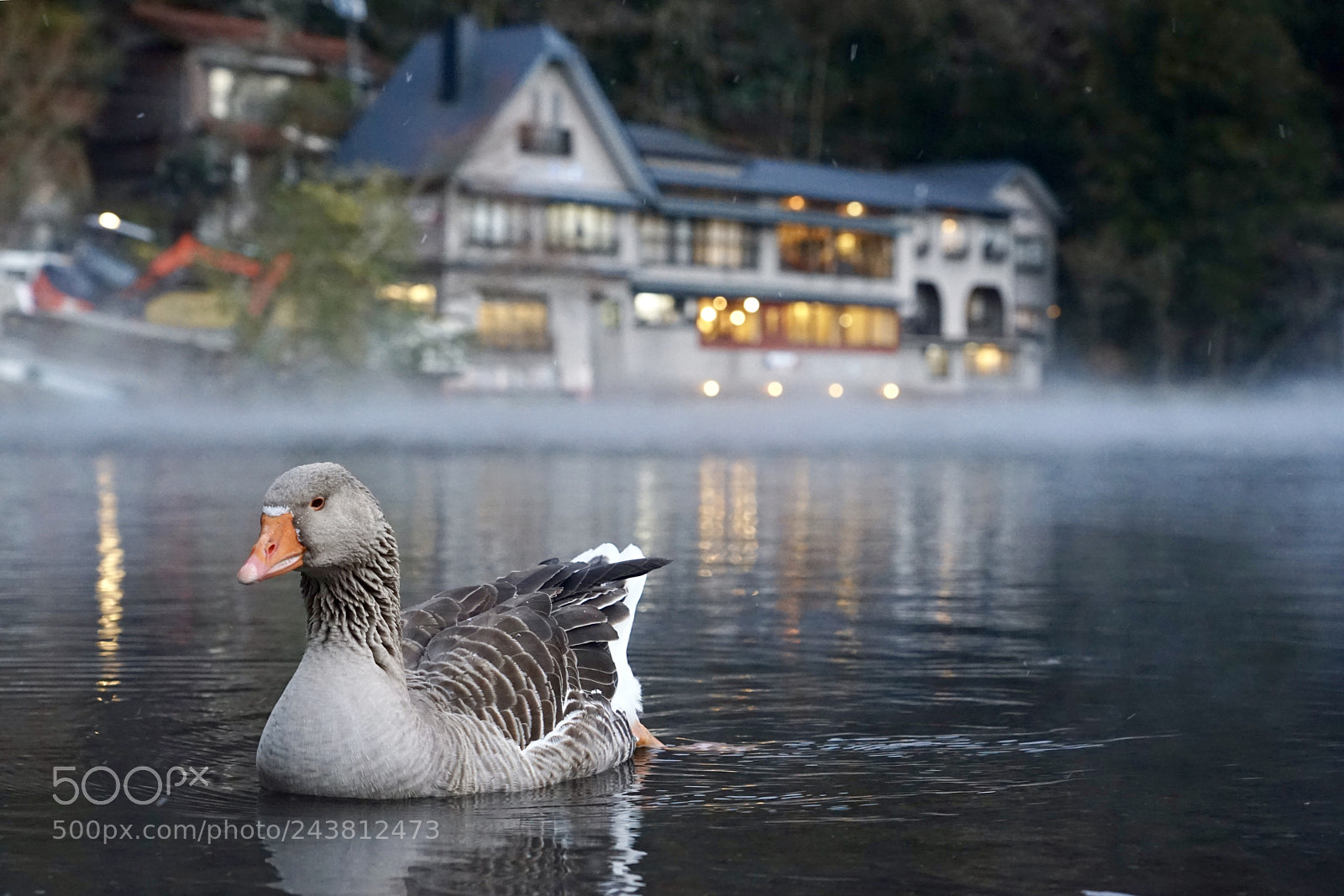 Sony a7 II sample photo. Lake of hot springs photography