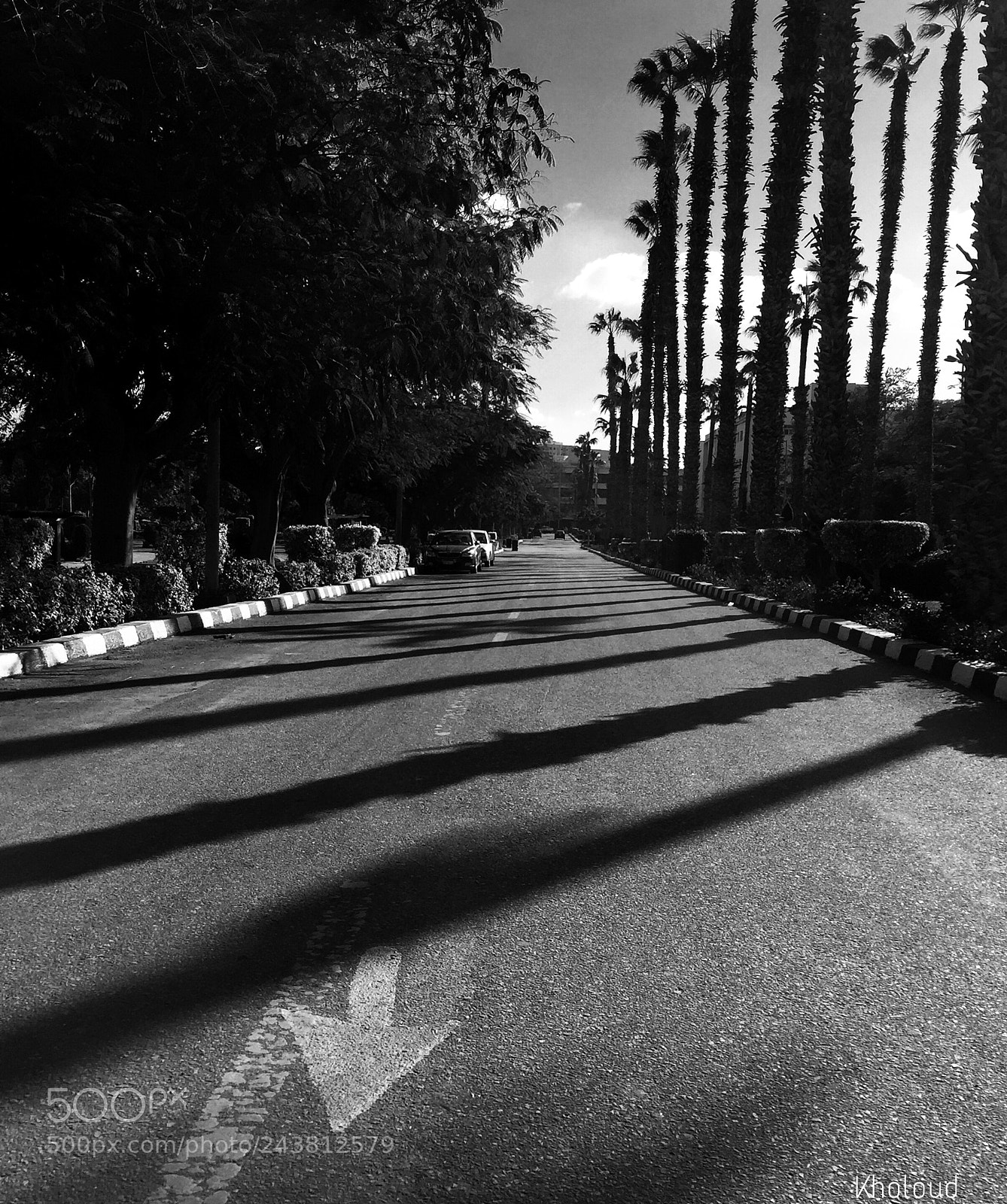 Apple iPhone 6 sample photo. The way is too photography