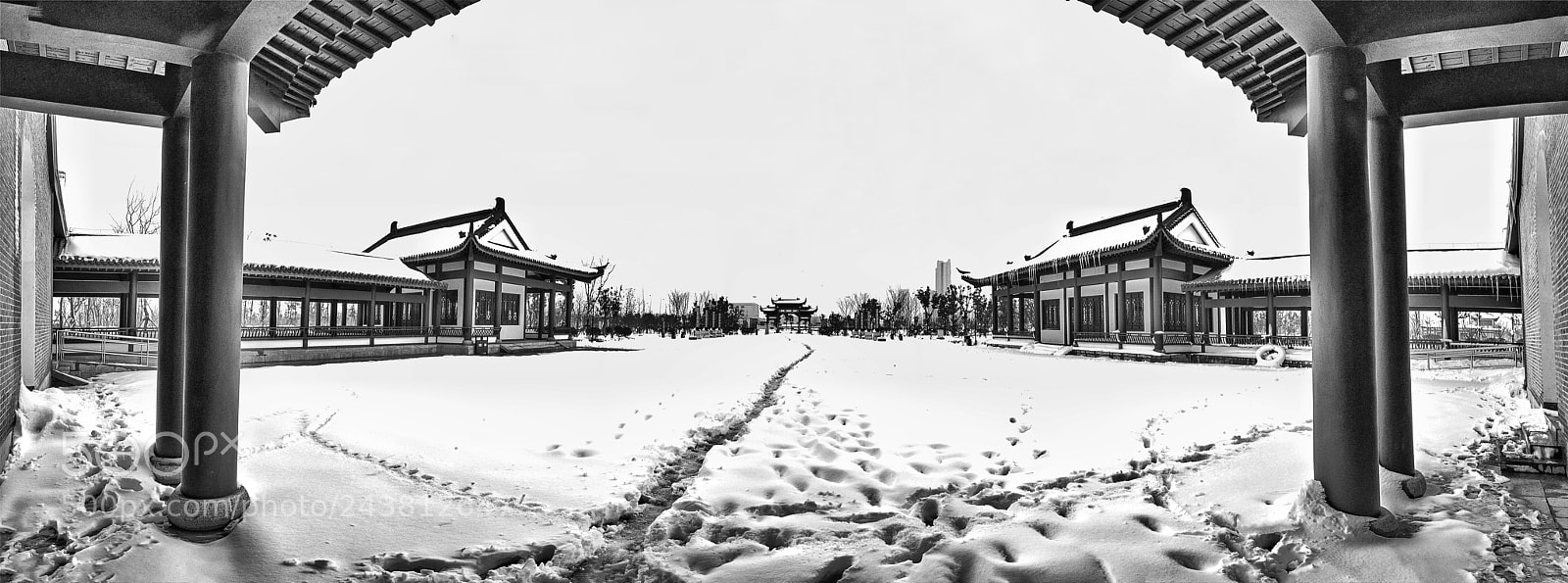 Nikon D800 sample photo. Untitled photography