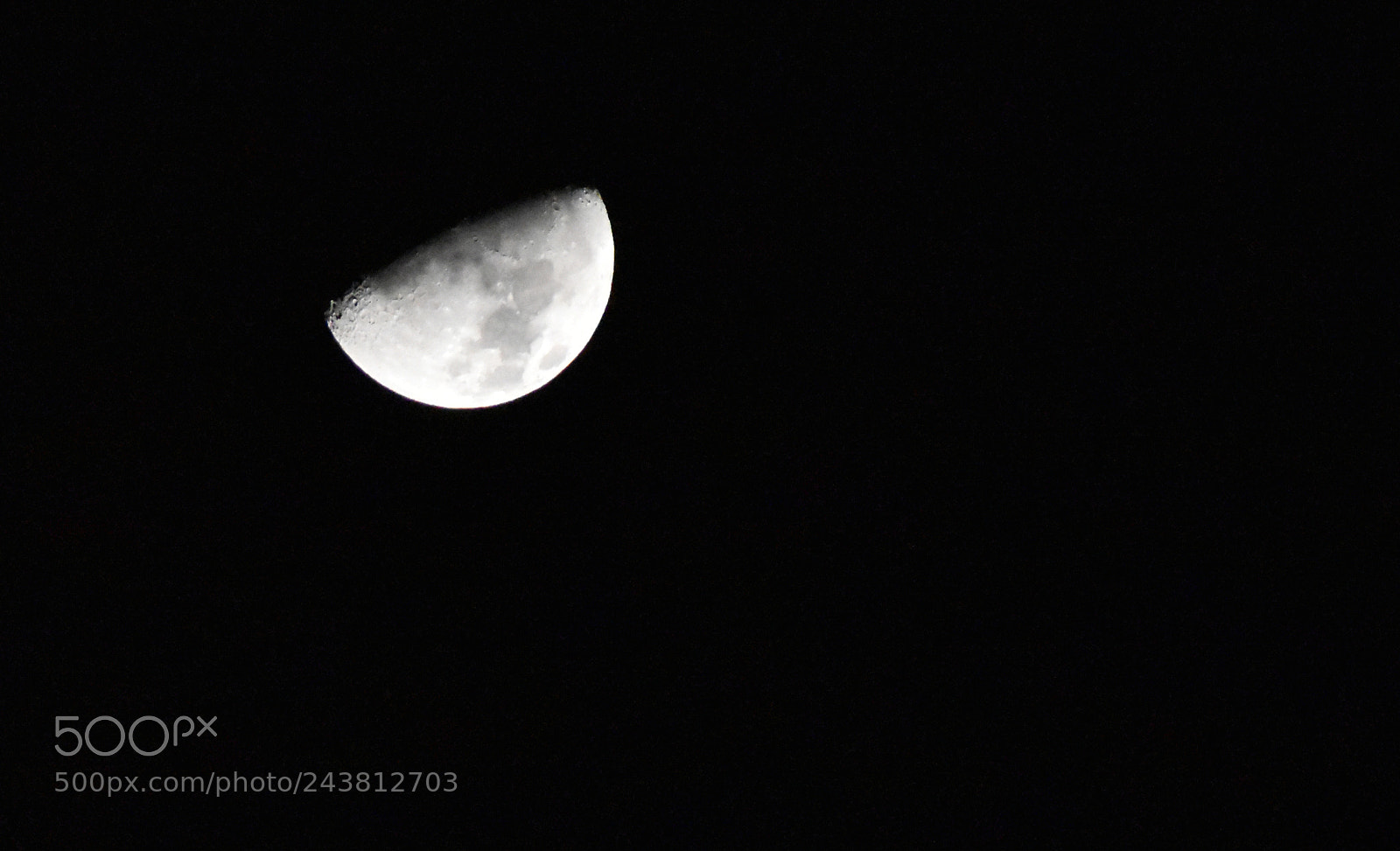 Nikon D5500 sample photo. Shining bright photography