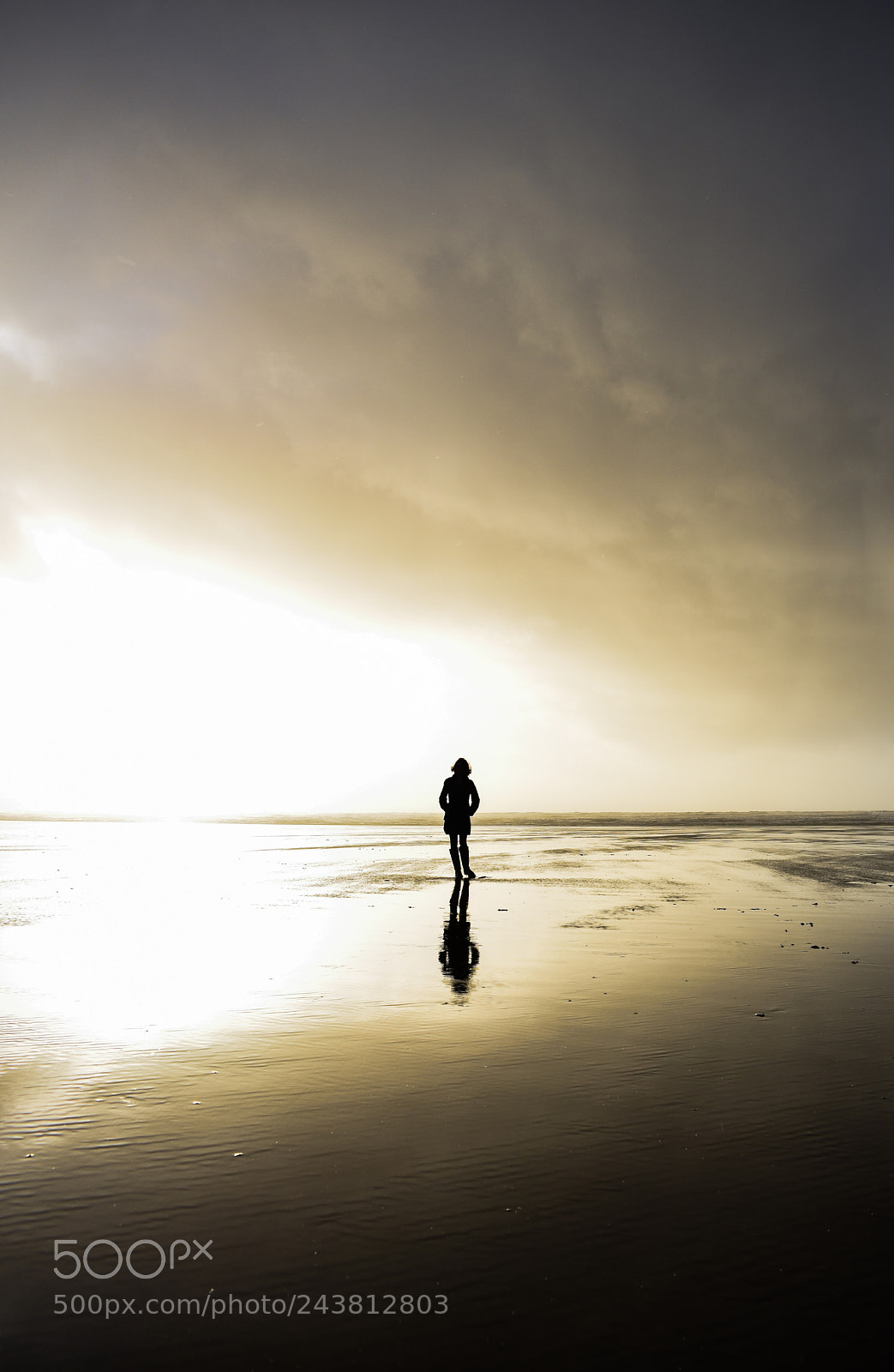 Nikon D5600 sample photo. Stranger on the shore photography