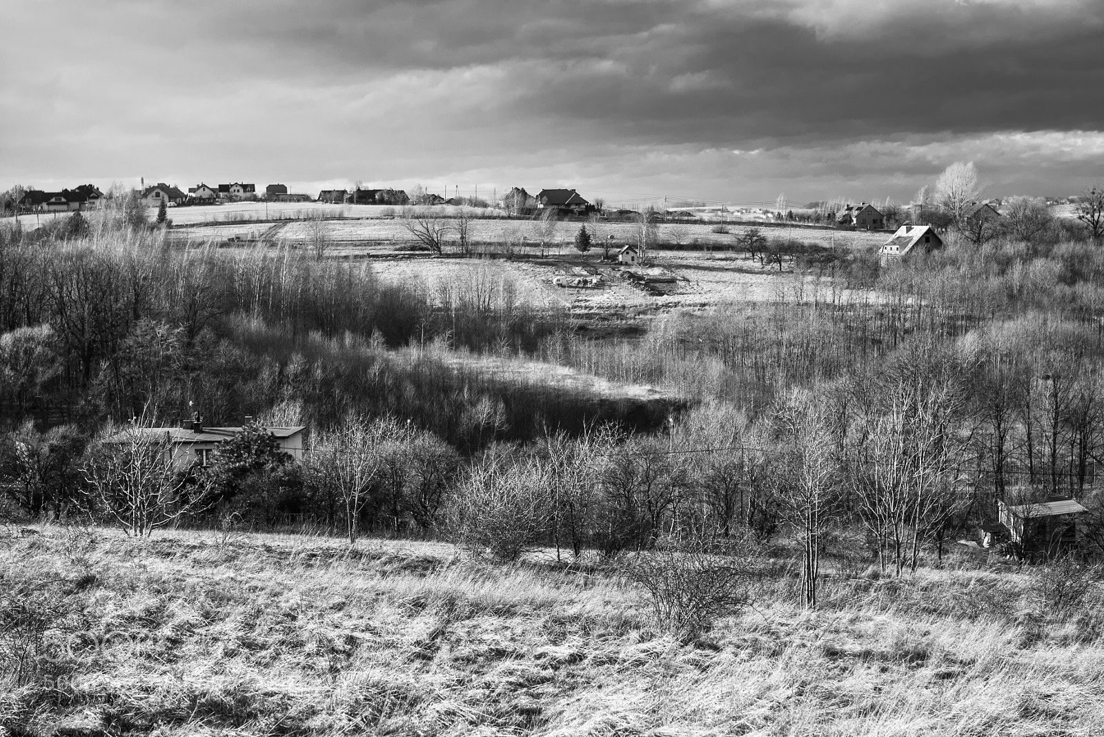 Nikon D810 sample photo. Fields photography