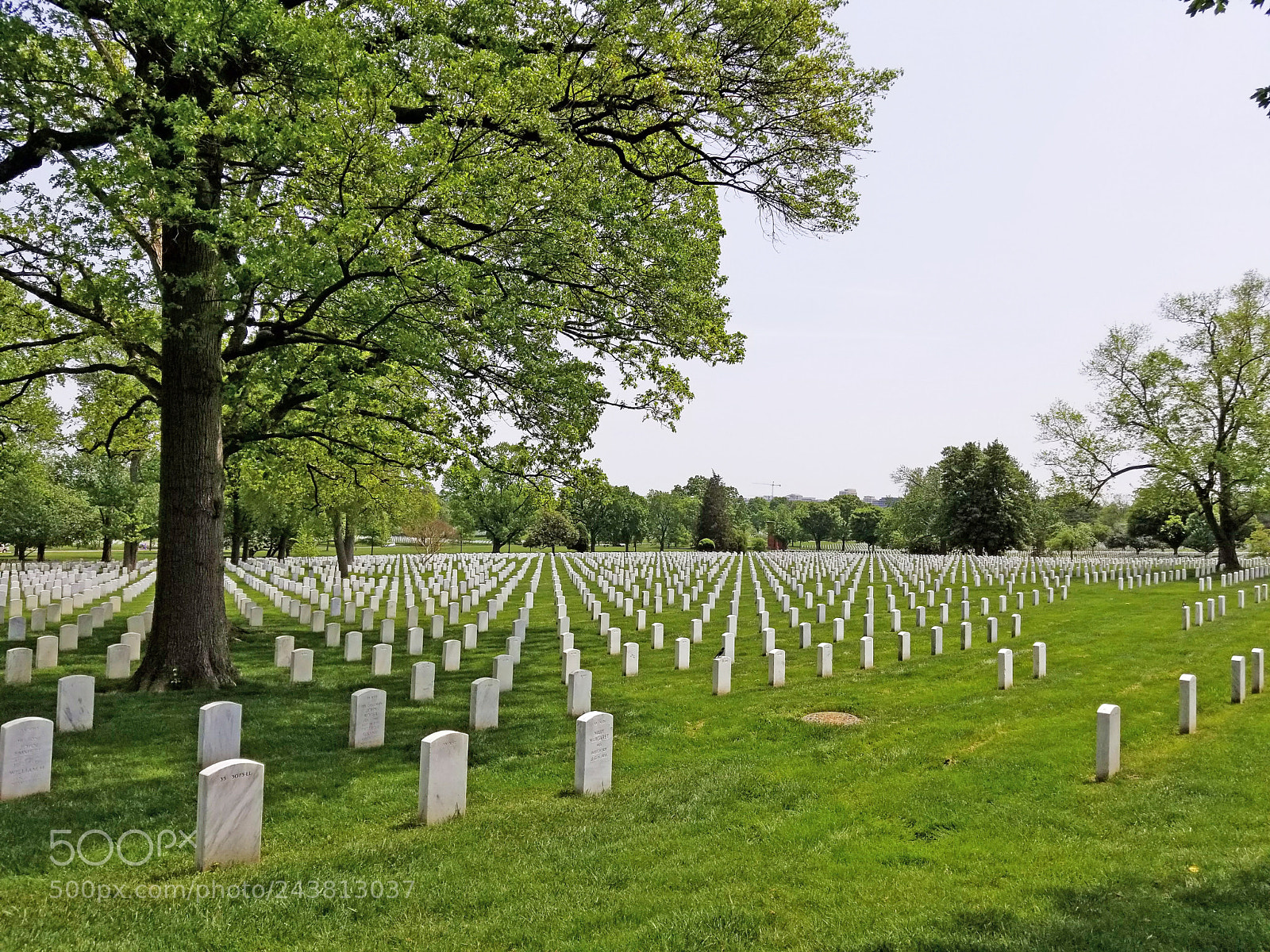 Samsung Galaxy S8 sample photo. Arlington national cemetery photography
