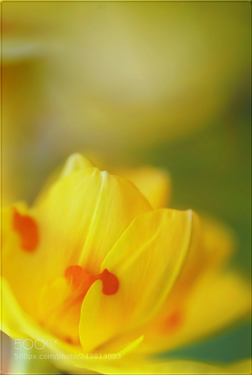Sony a7R II sample photo. Sich umarmen ... photography