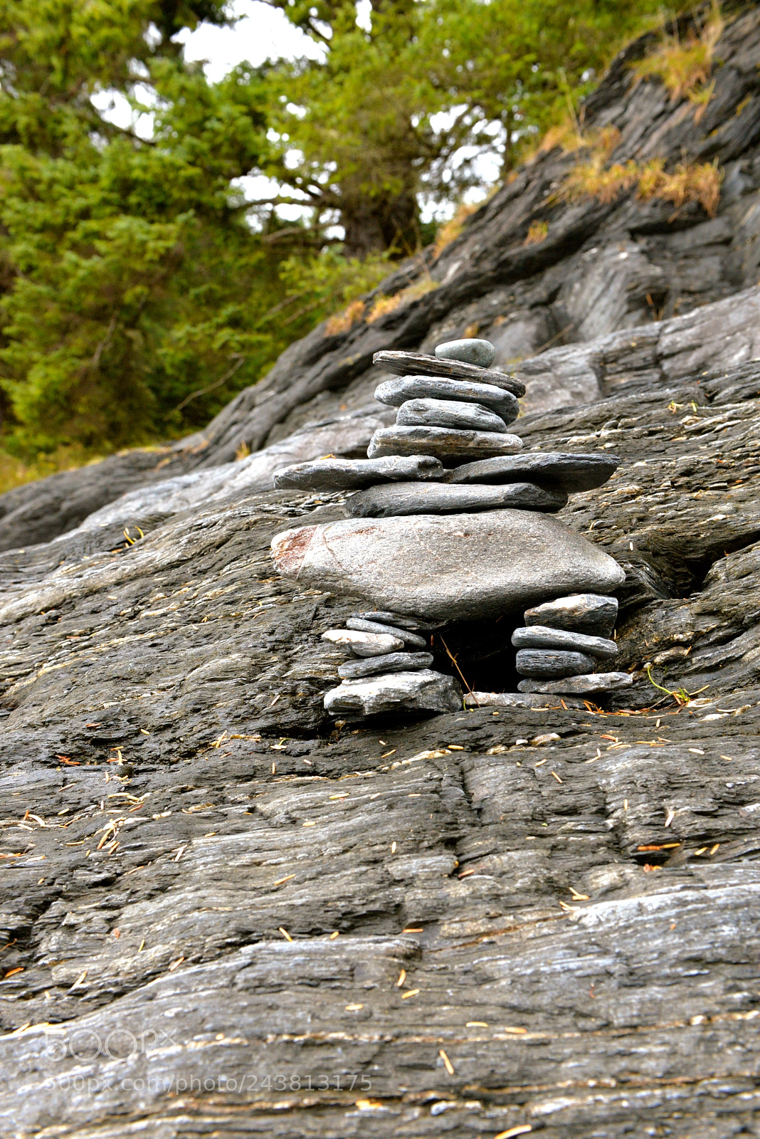Nikon D610 sample photo. Inuksuk at botanical beach photography