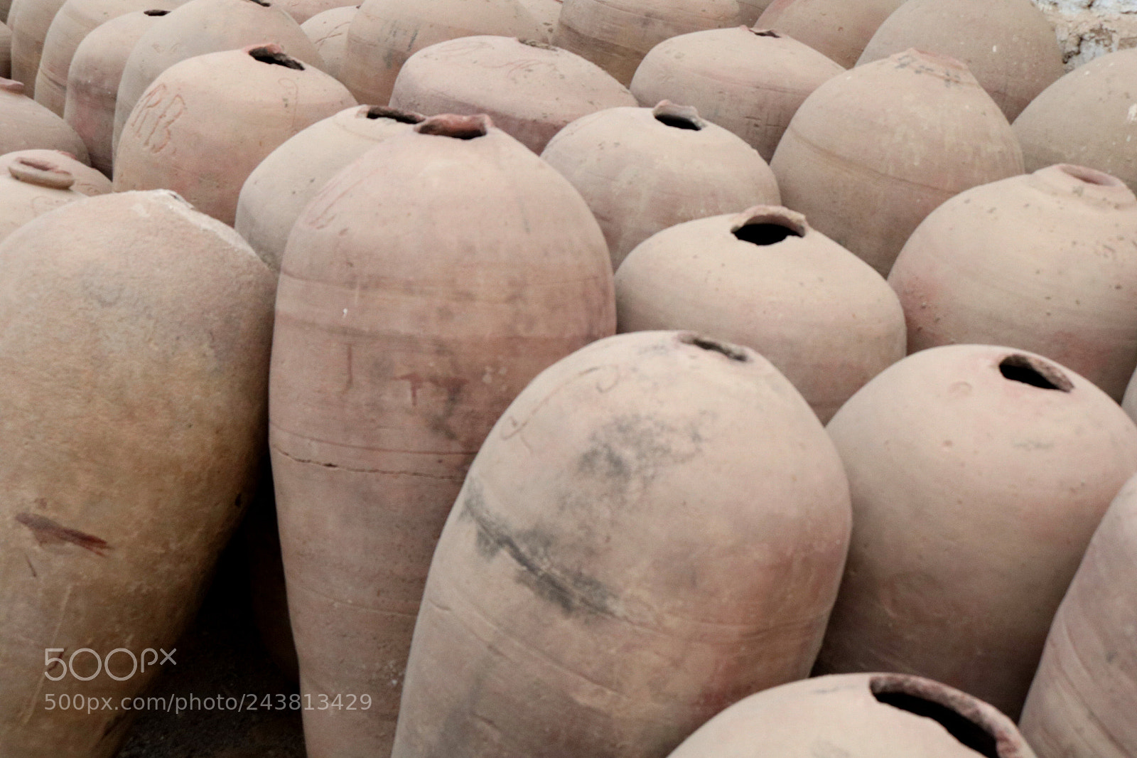 Canon EOS 750D (EOS Rebel T6i / EOS Kiss X8i) sample photo. Bodega de vino photography