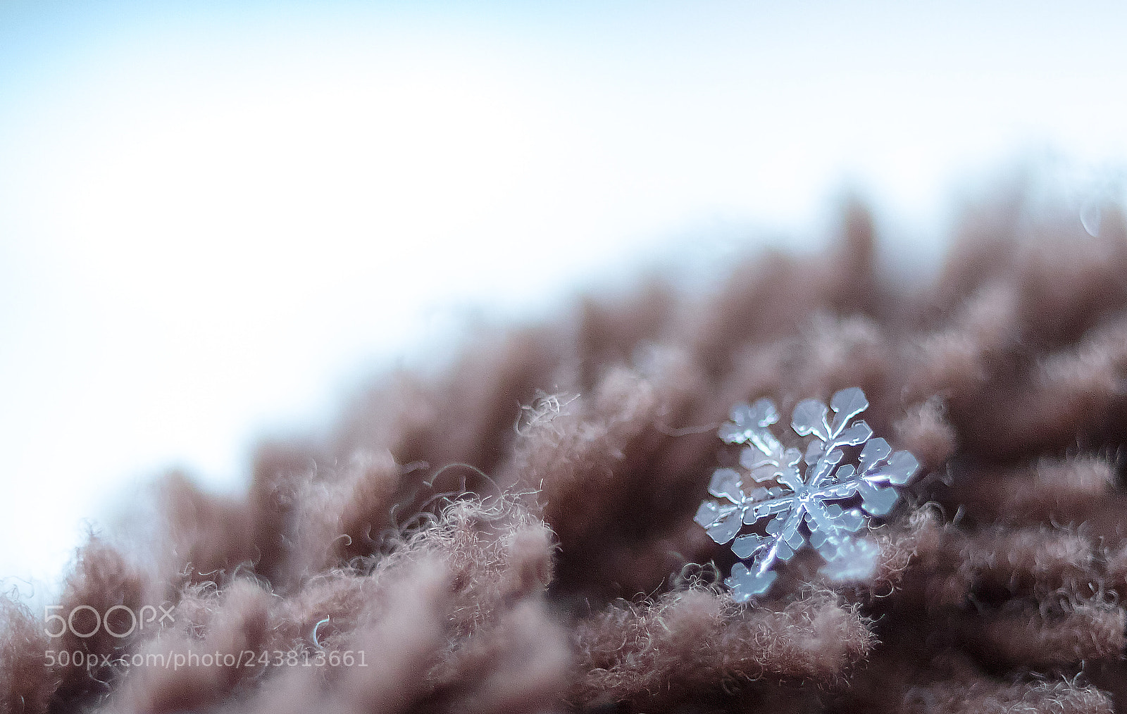 Canon EOS 760D (EOS Rebel T6s / EOS 8000D) sample photo. Parcelle photography
