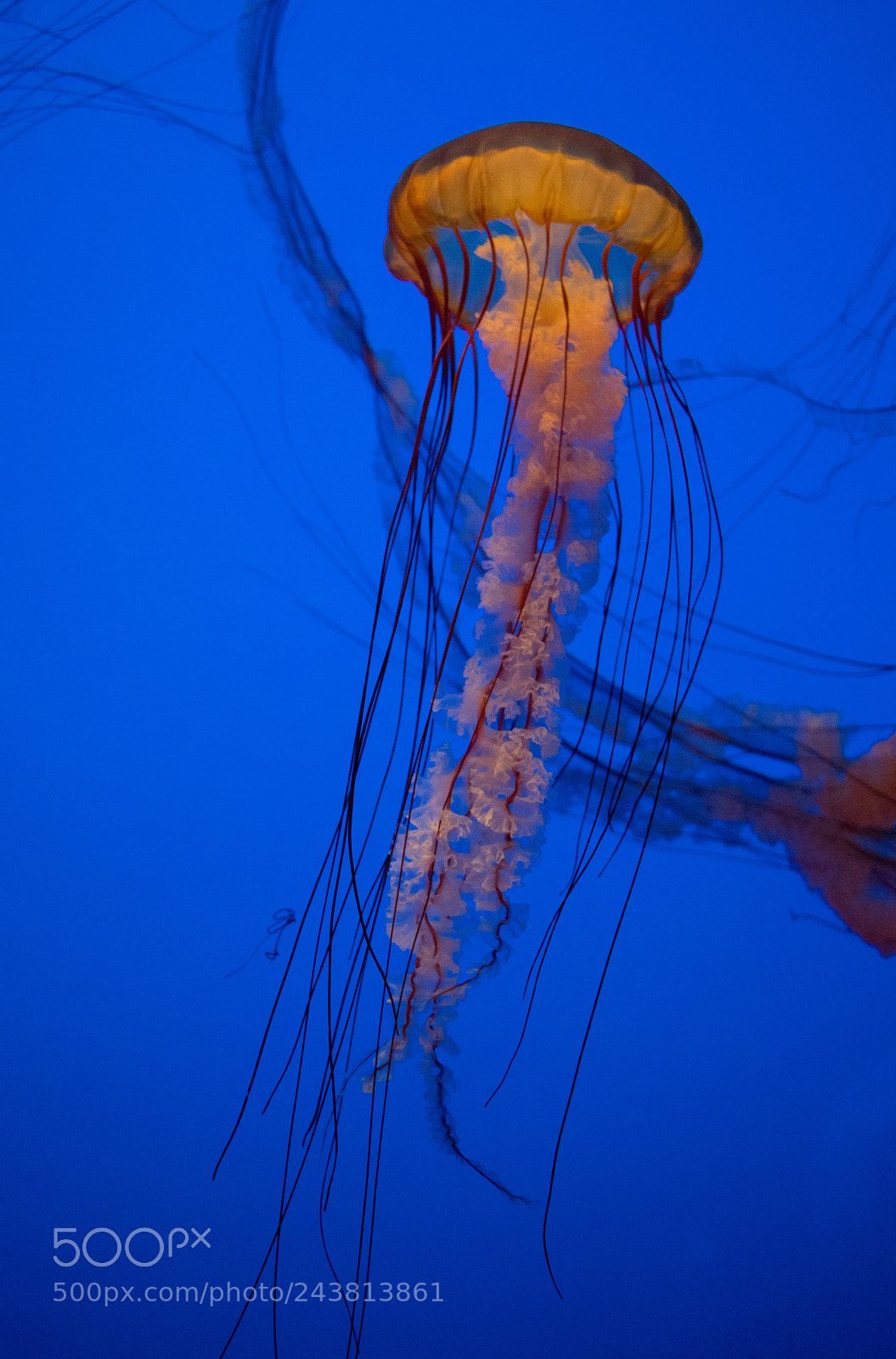 Canon EOS 77D (EOS 9000D / EOS 770D) sample photo. Glow photography