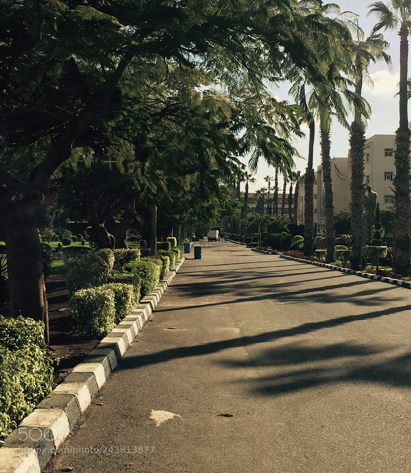 Apple iPhone 6 sample photo. In love with sequence 2 photography