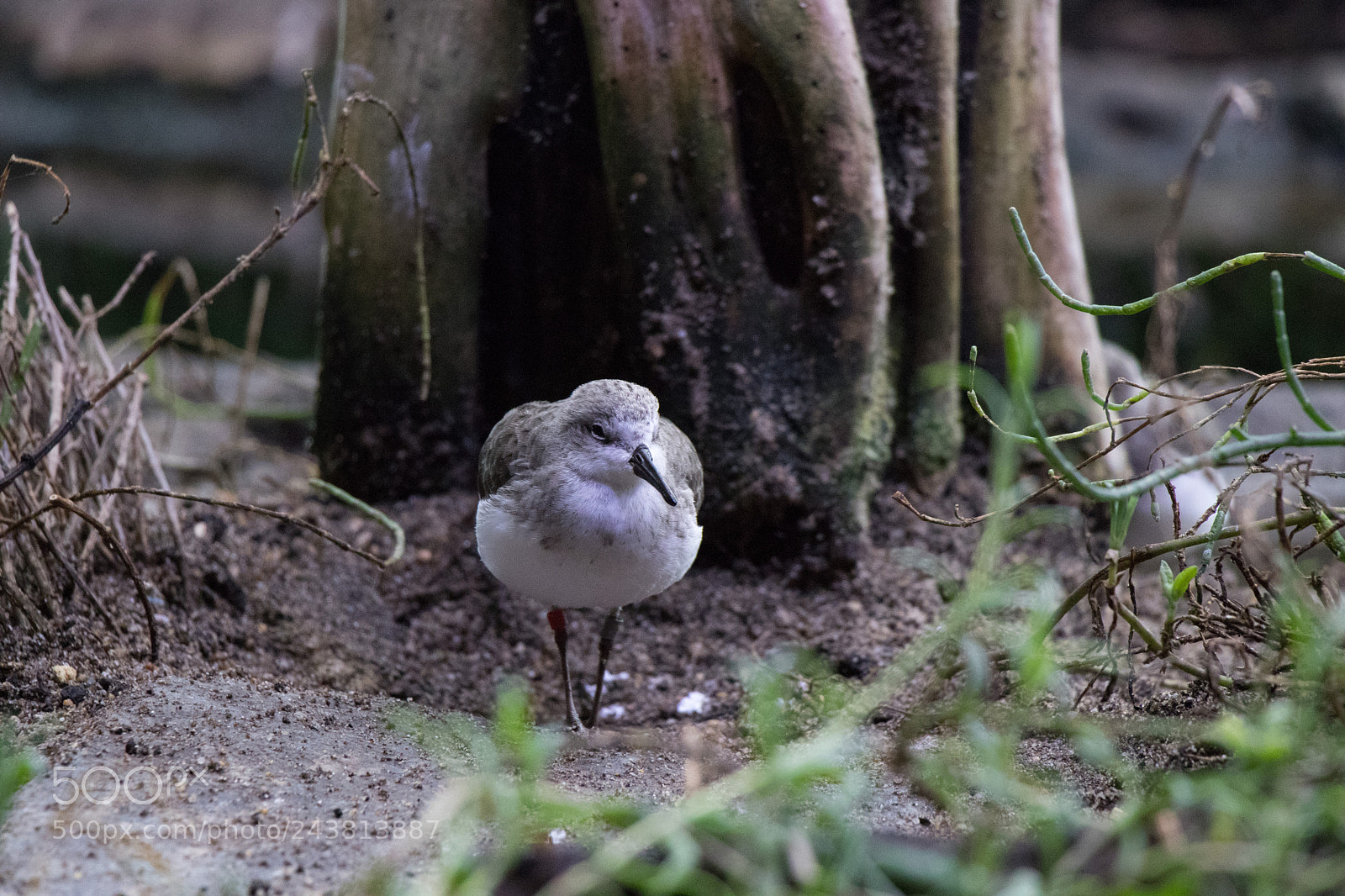 Canon EOS 77D (EOS 9000D / EOS 770D) sample photo. Peer photography
