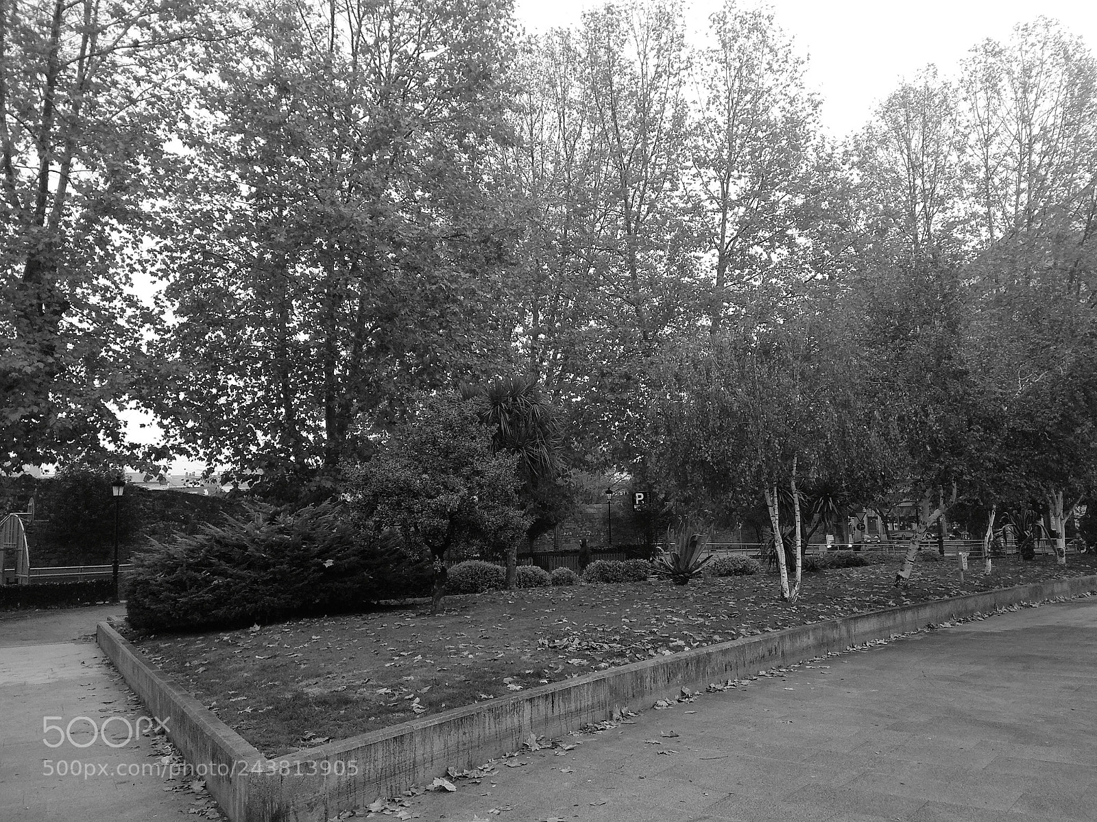 Xiaomi Redmi Note 4 sample photo. Empty park in the photography