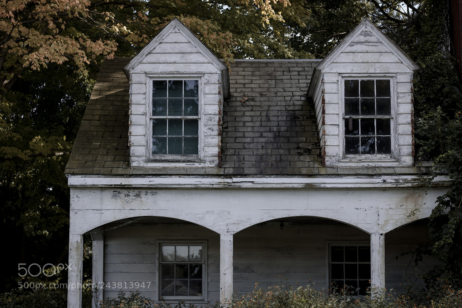 Canon EOS 750D (EOS Rebel T6i / EOS Kiss X8i) sample photo. Decay photography