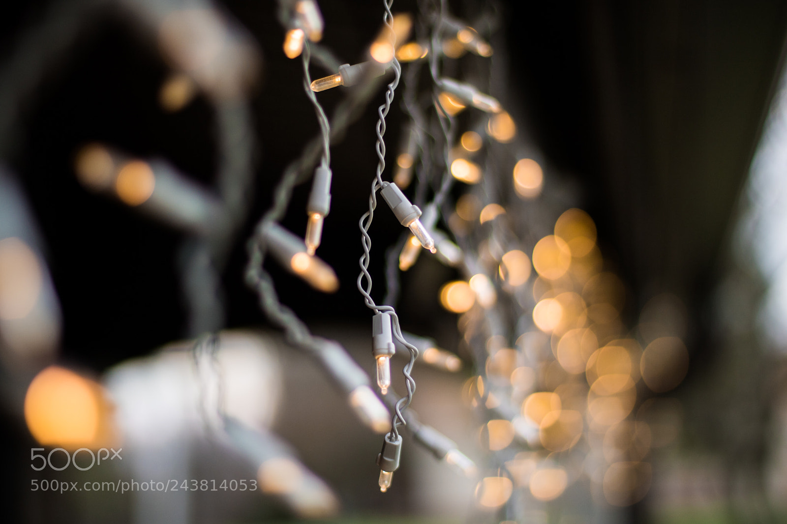 Canon EOS 750D (EOS Rebel T6i / EOS Kiss X8i) sample photo. Christmas lights photography