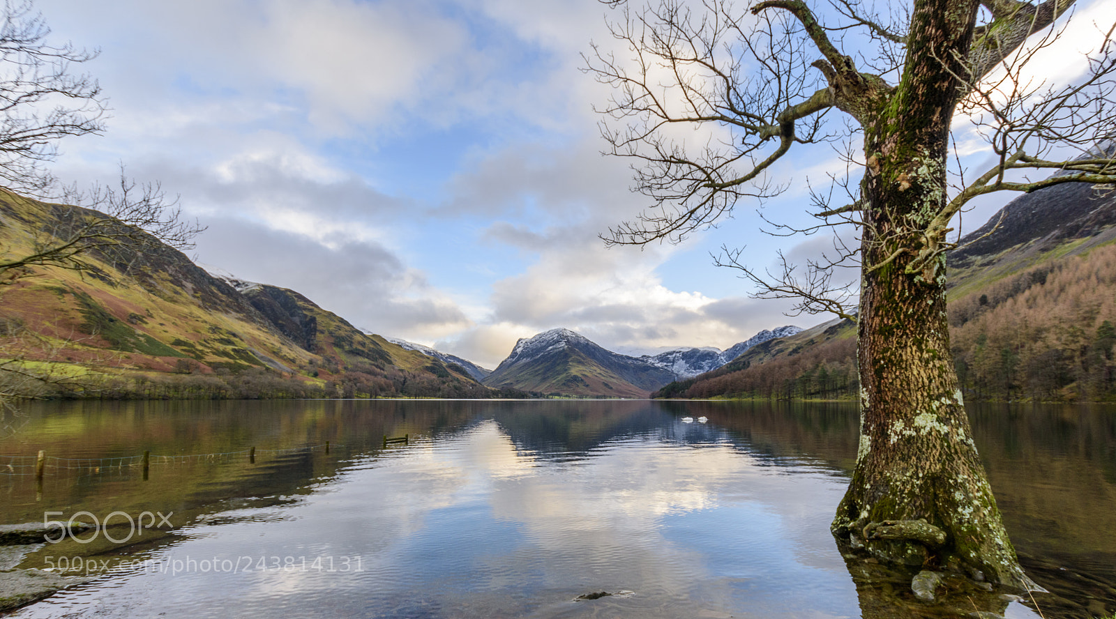 Nikon D5500 sample photo. Lone tree by the photography