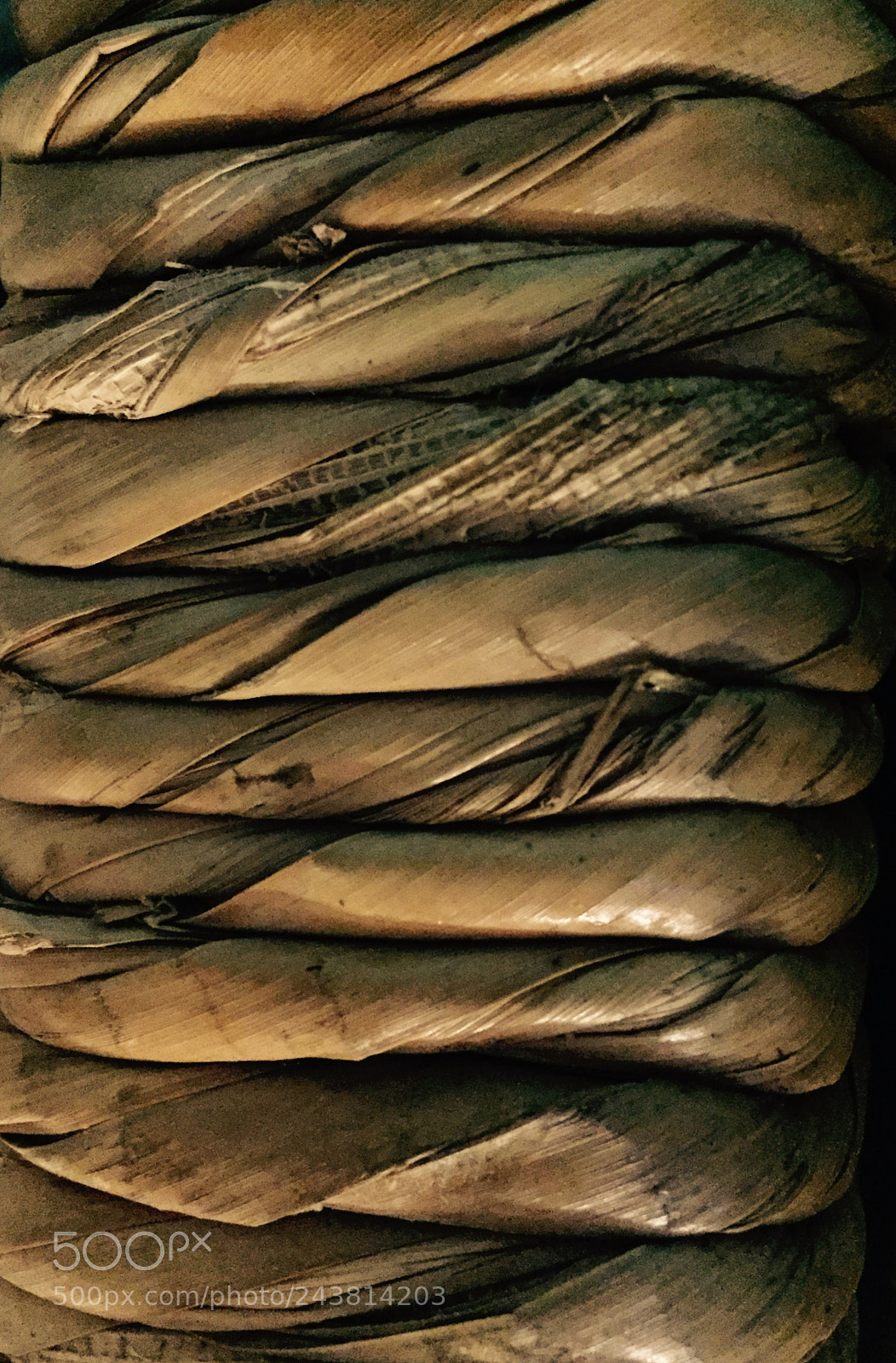 Apple iPhone 6 sample photo. Untitled photography