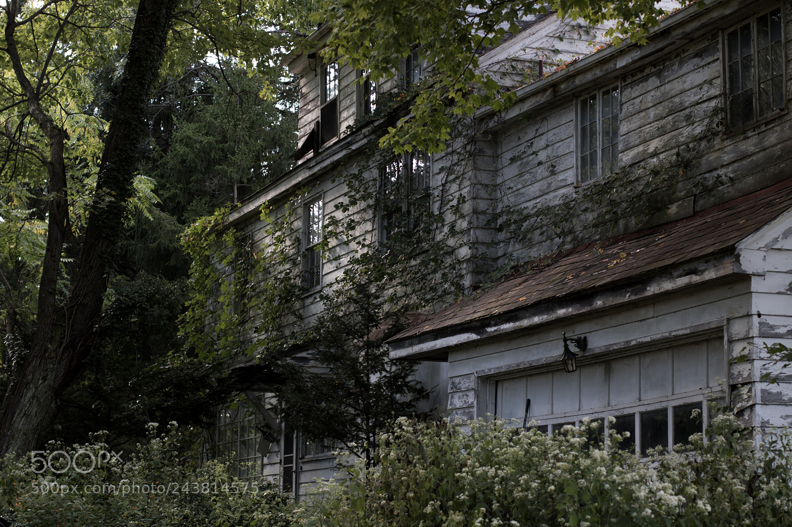 Canon EOS 750D (EOS Rebel T6i / EOS Kiss X8i) sample photo. Decay photography