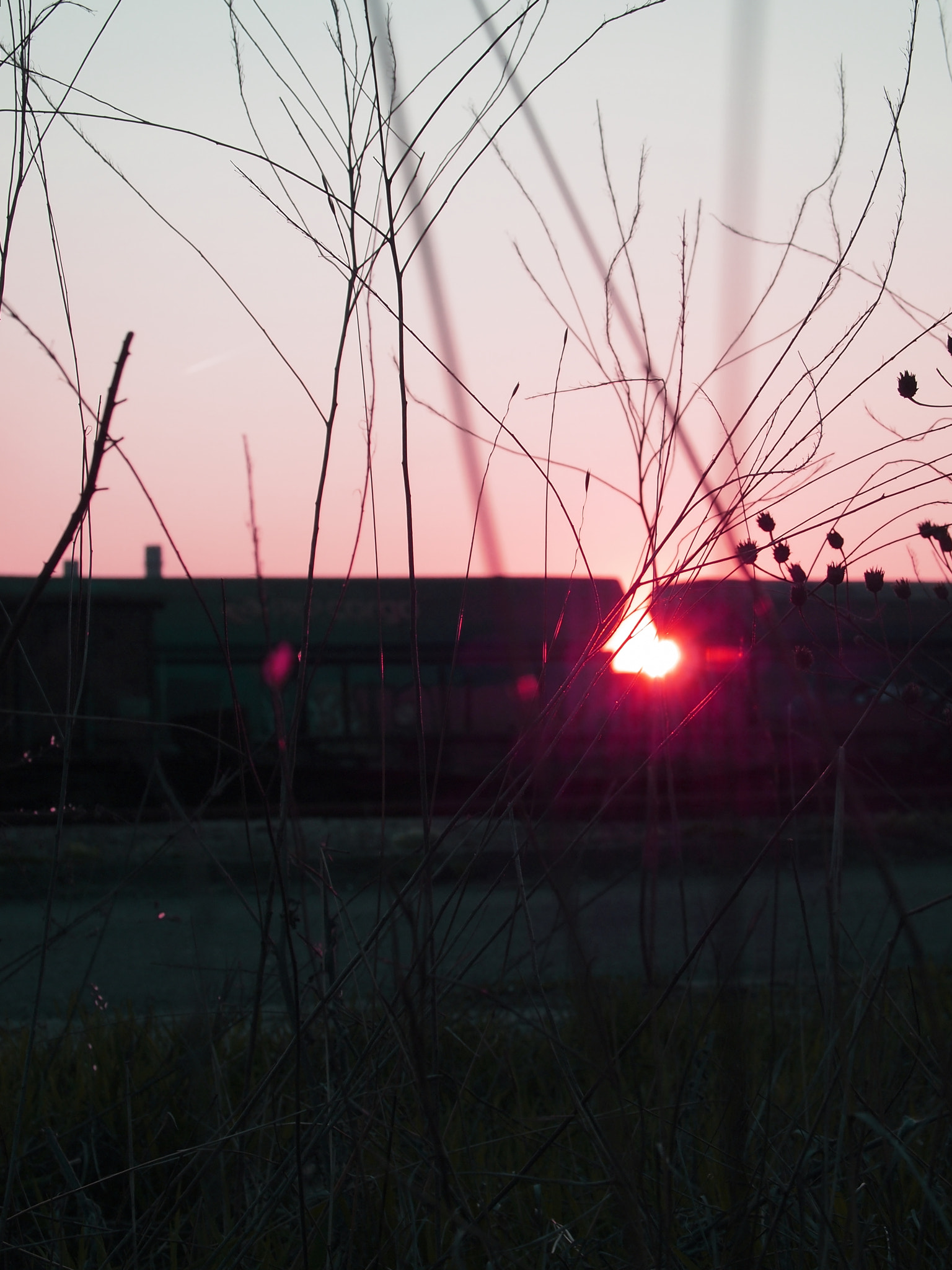Olympus PEN E-PL2 sample photo. Sunset photography