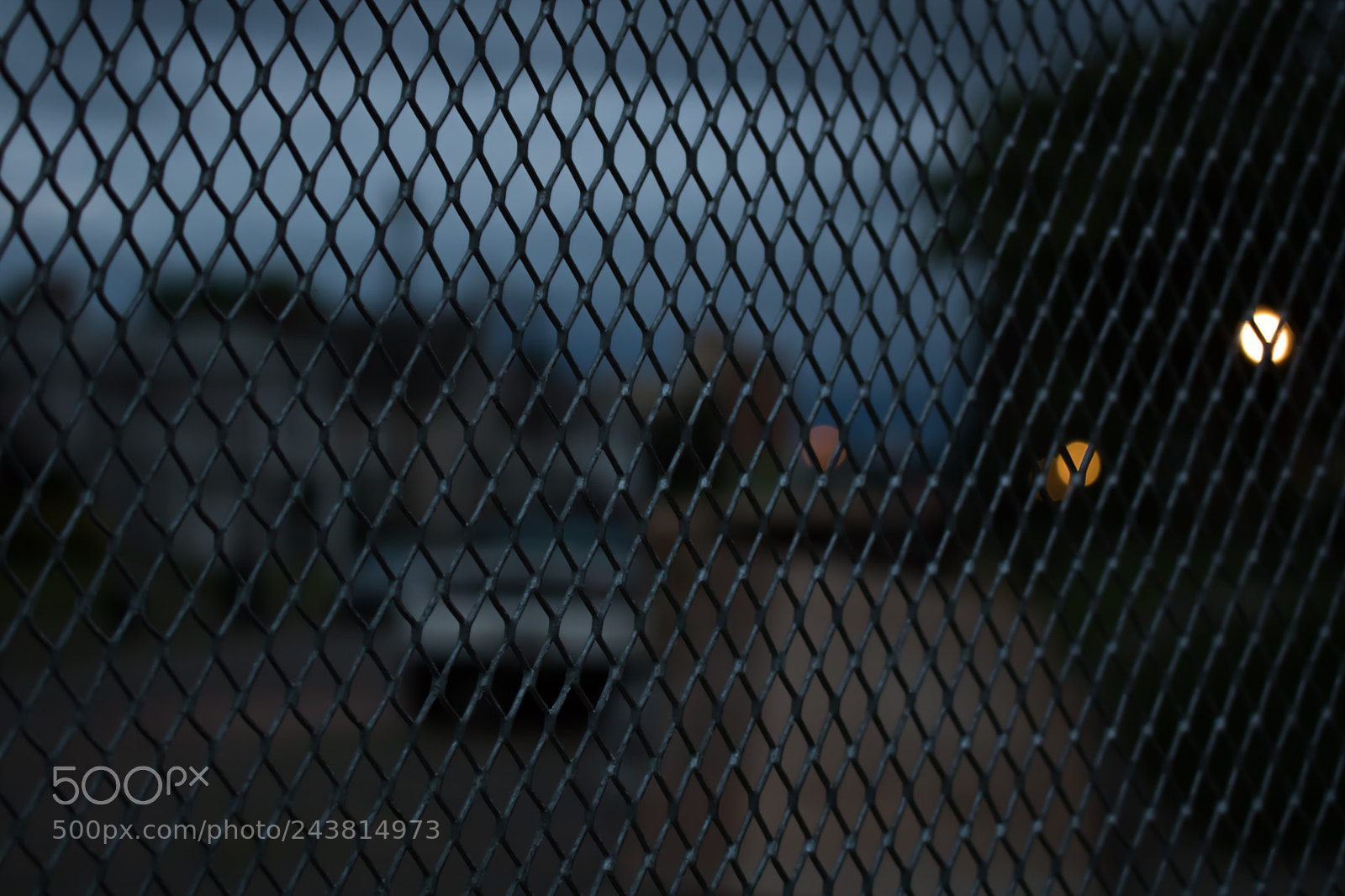 Canon EOS 750D (EOS Rebel T6i / EOS Kiss X8i) sample photo. Past the fence photography