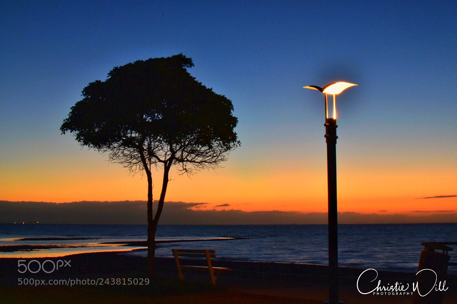 Nikon D5500 sample photo. Summer sunrise photography