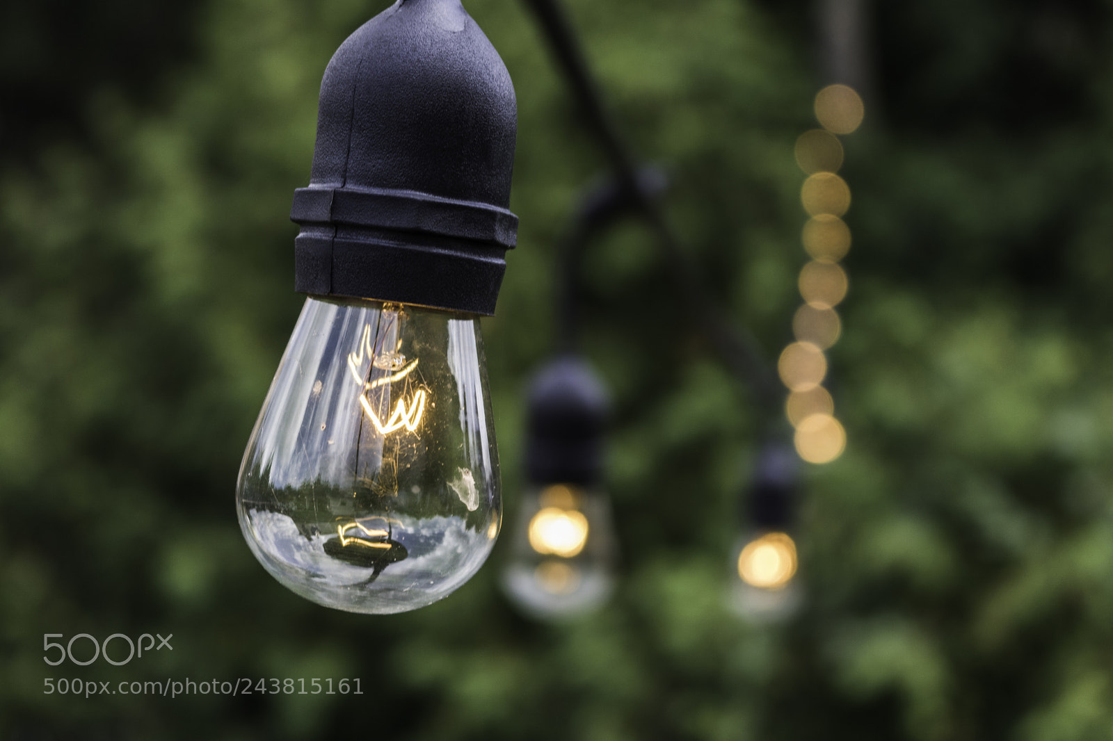 Canon EOS 750D (EOS Rebel T6i / EOS Kiss X8i) sample photo. Bokeh lights photography