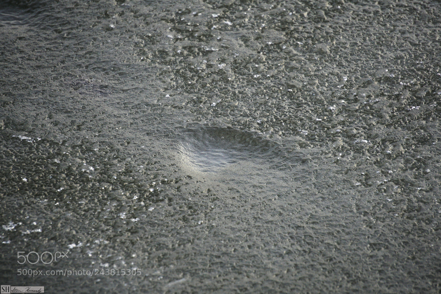 Sony E 55-210mm F4.5-6.3 OSS sample photo. () photography
