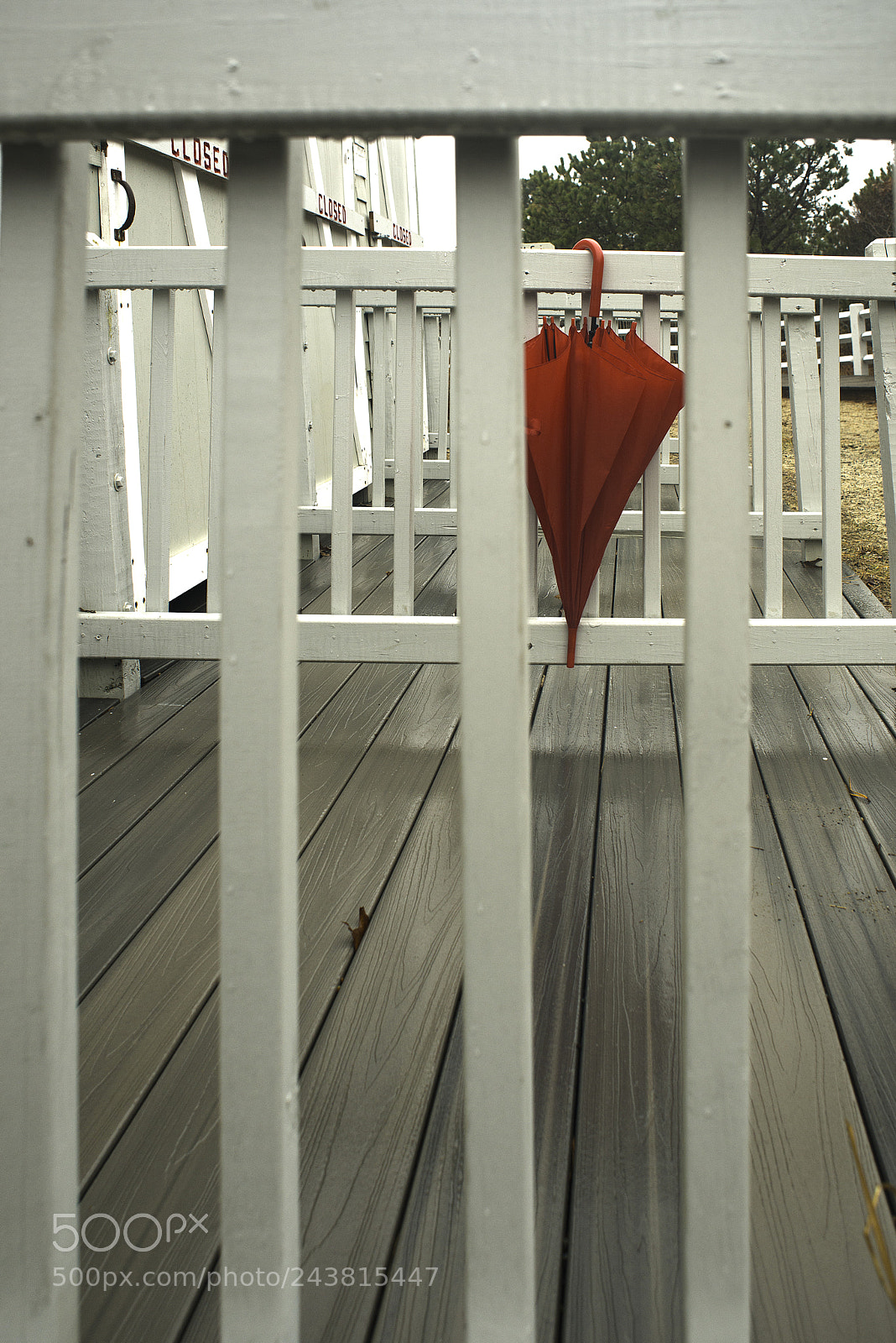 Nikon D800E sample photo. Lines and umbella photography