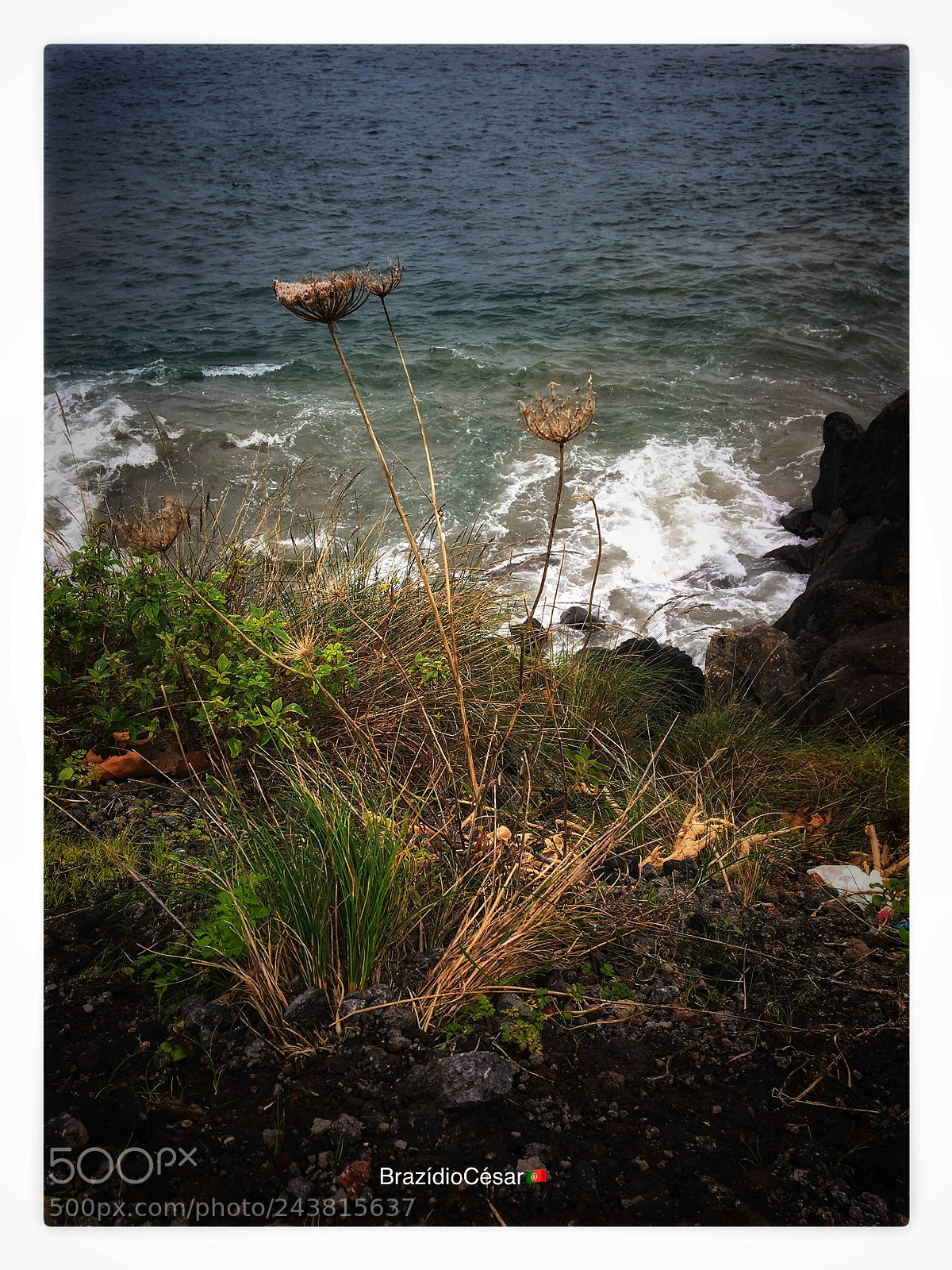 Apple iPhone 6s sample photo. Untitled photography