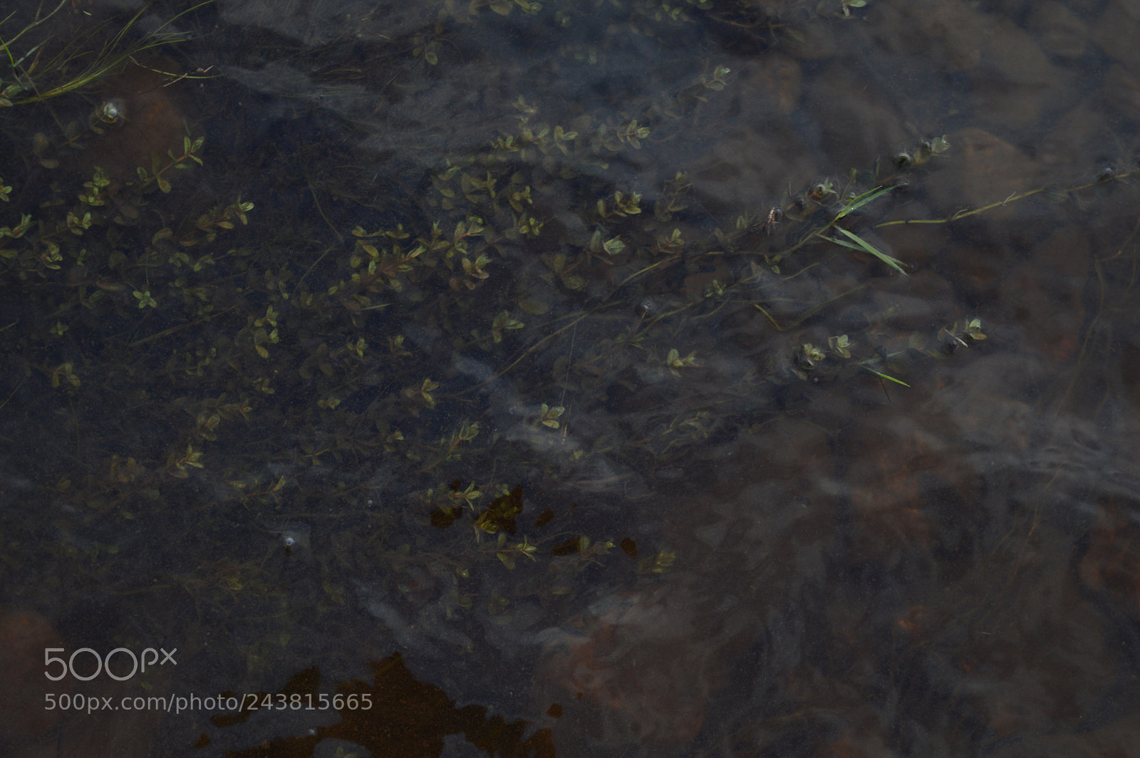 Nikon D3200 sample photo. Untitled photography