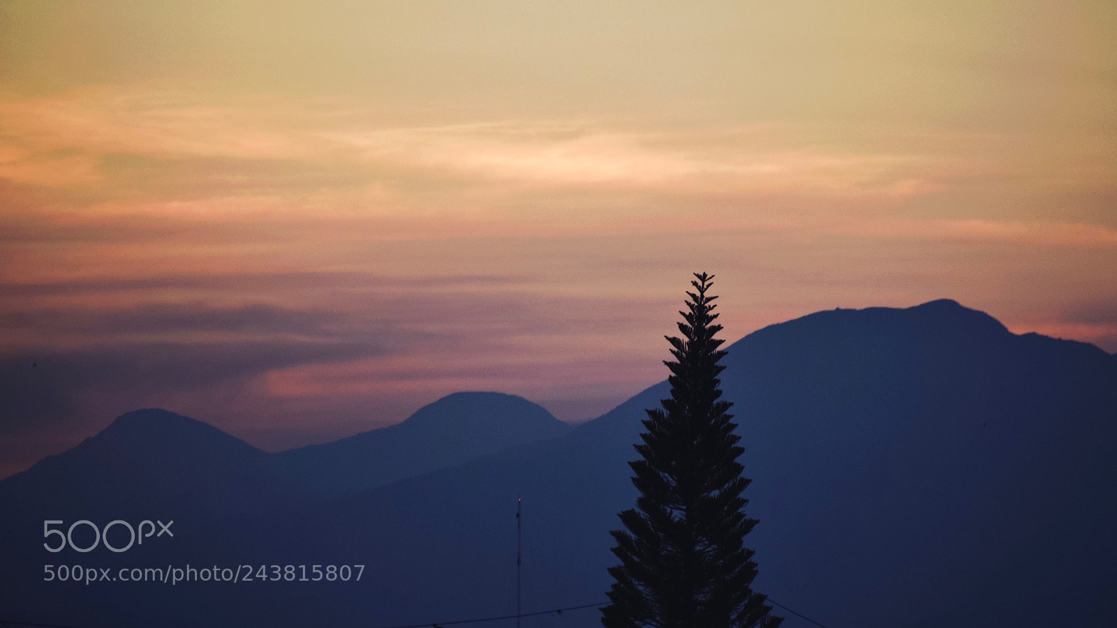 Nikon D5500 sample photo. Caribbean pines photography