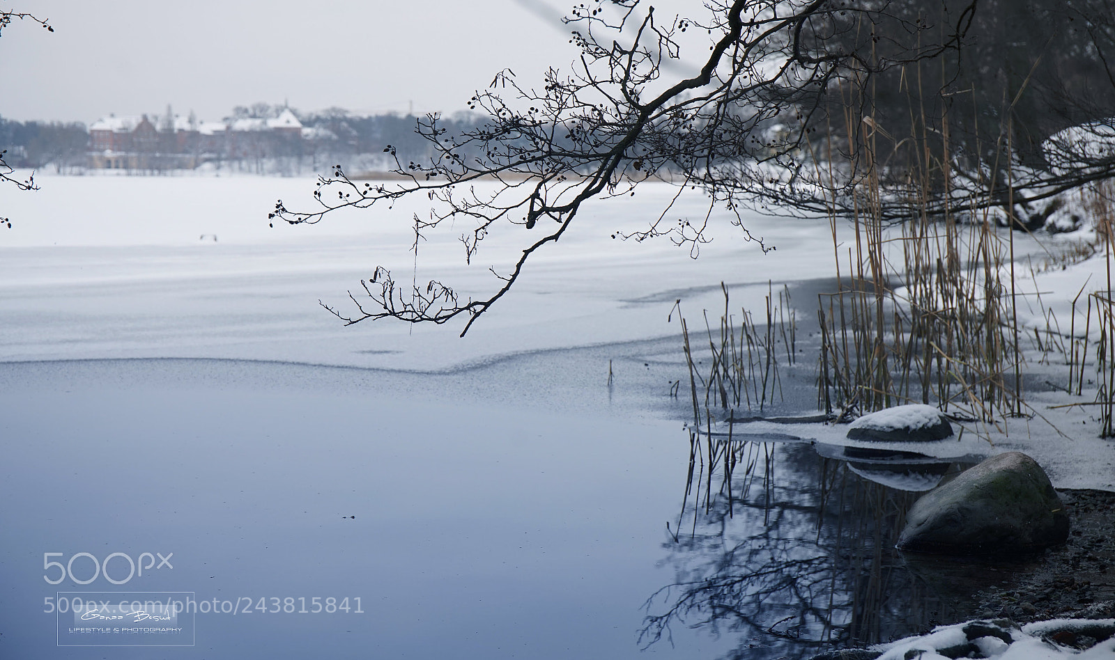 Sony a7 sample photo. Winter photography