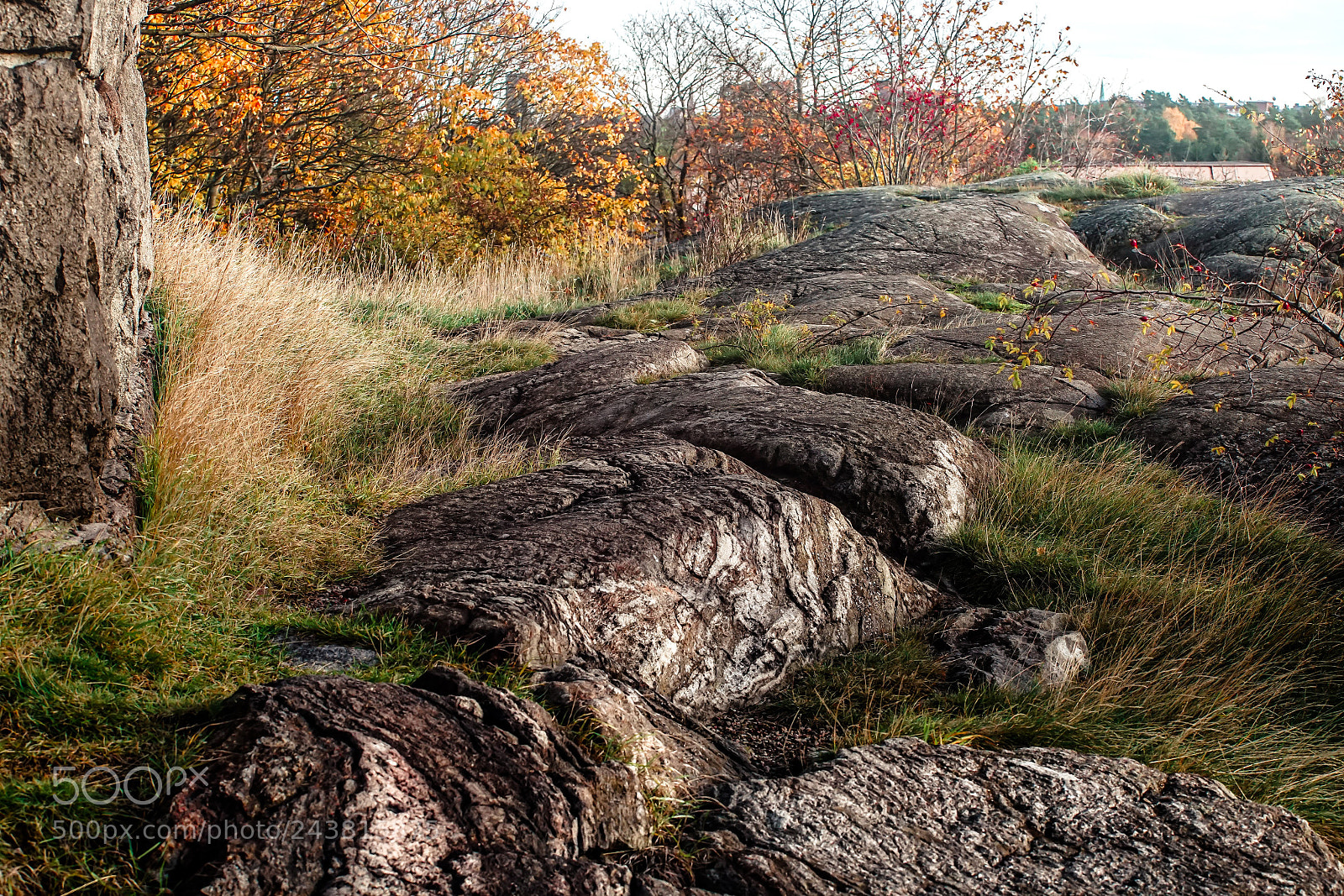 Sony a7 sample photo. Autumn photography