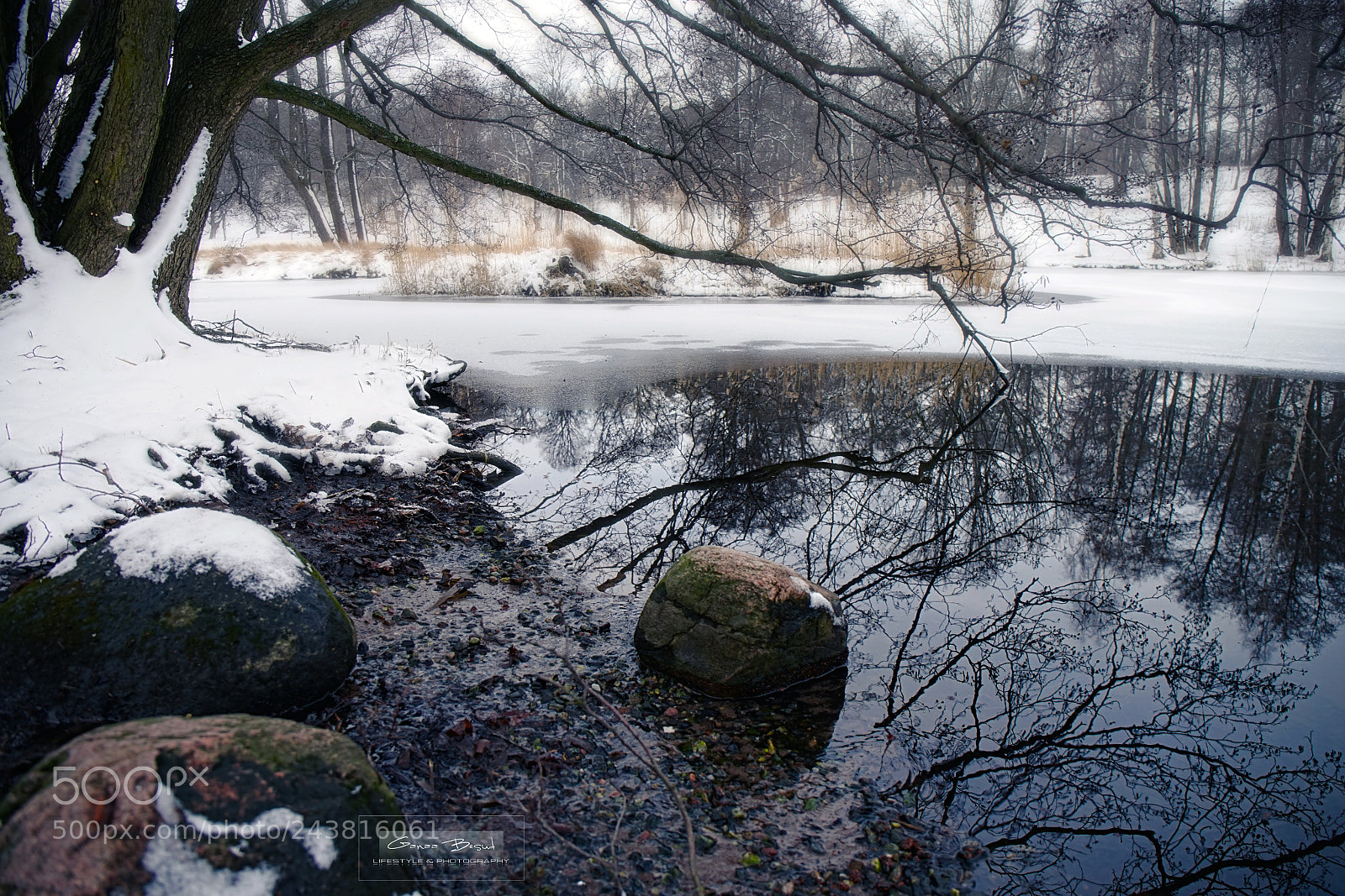 Sony a7 sample photo. A day of winter photography