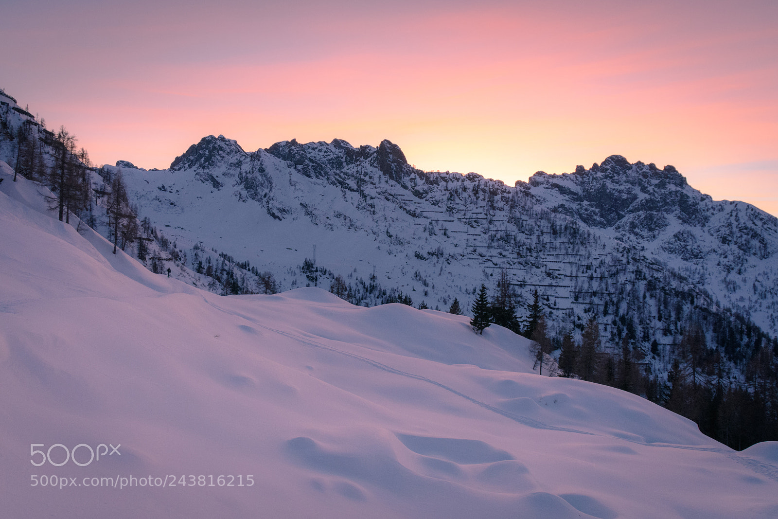 Nikon D7200 sample photo. Winter dream photography