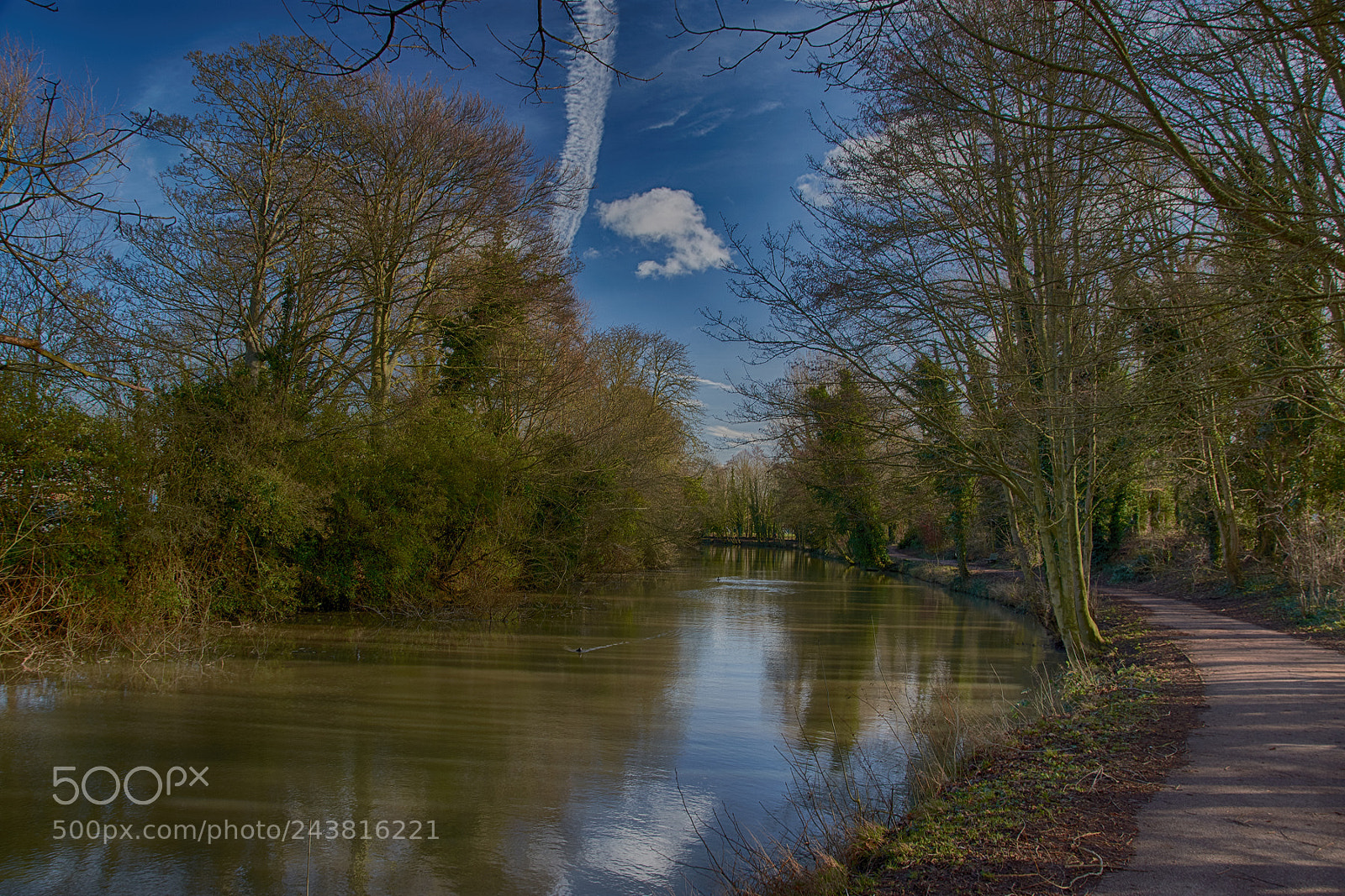 Nikon D7200 sample photo. River lea, ware, hertfordshire photography