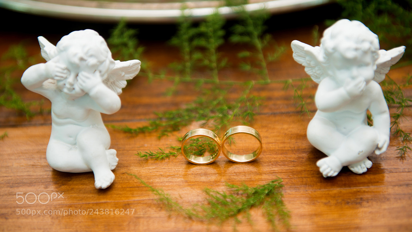 Nikon D800 sample photo. Rings photography