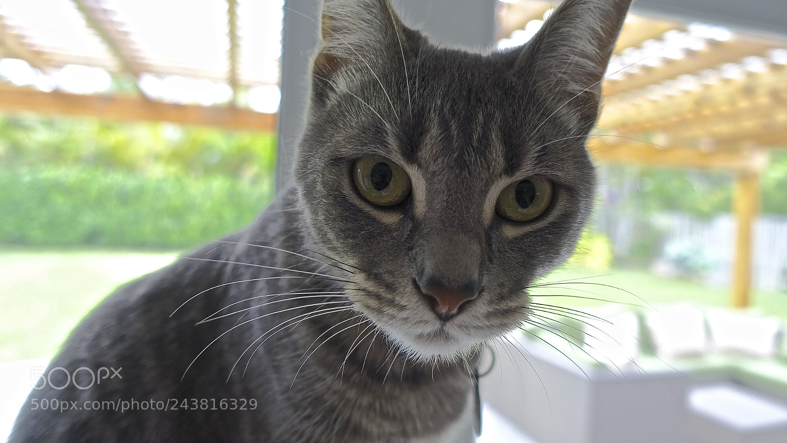 Sony Cyber-shot DSC-RX100 III sample photo. Lala photography