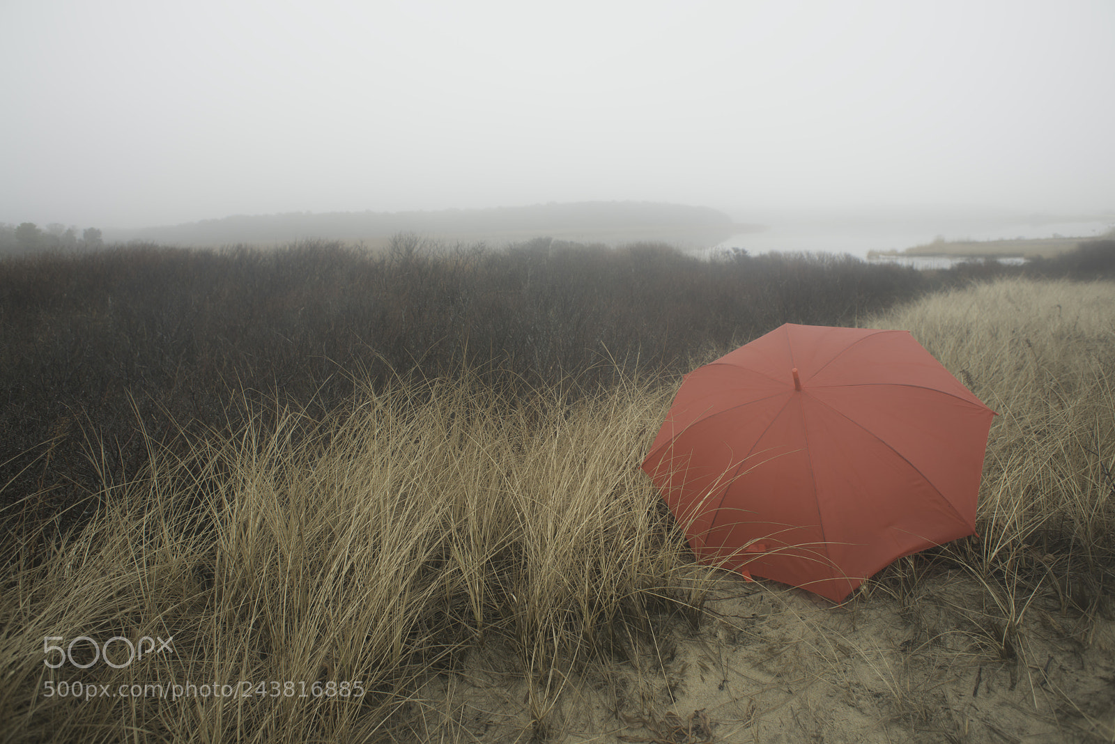 Nikon D800E sample photo. Unbrella on a beach photography