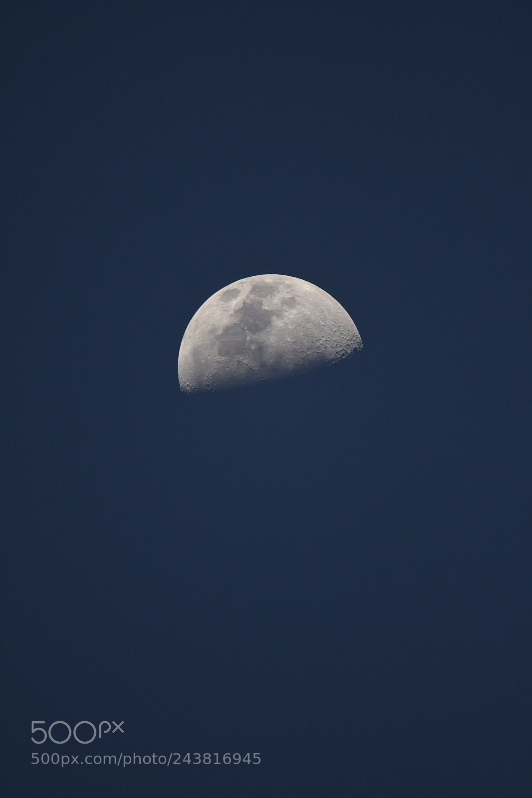 Nikon D500 sample photo. Untitled photography