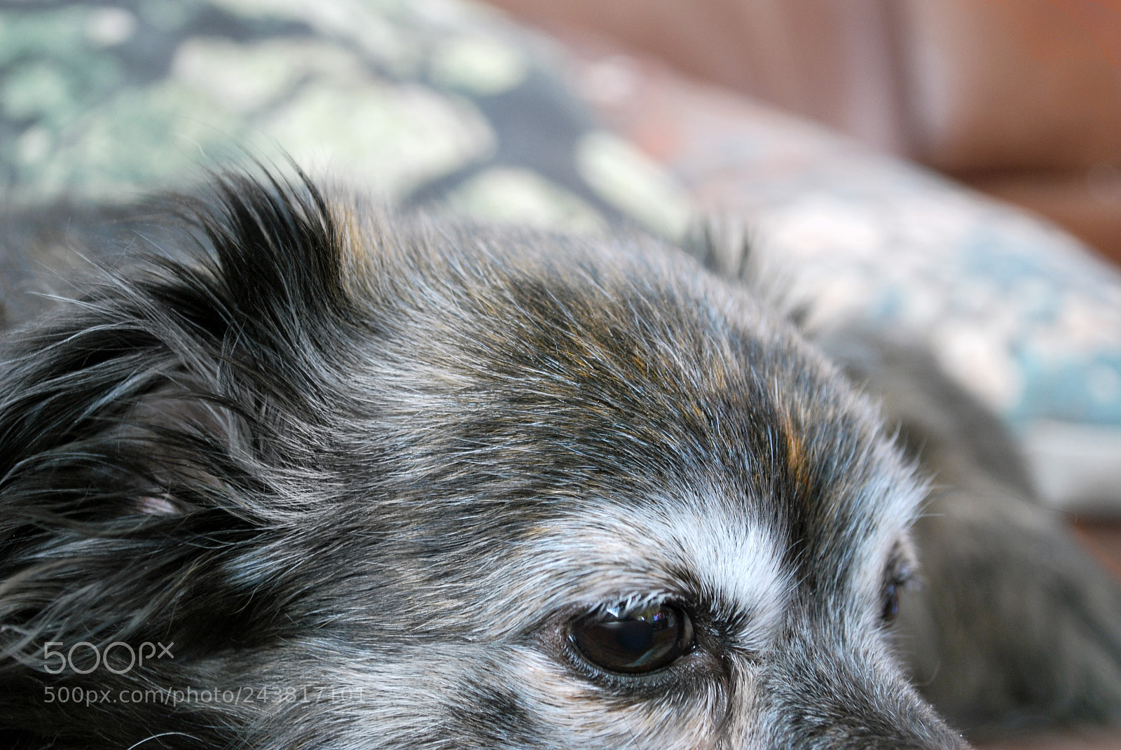 Nikon D60 sample photo. 2.jpg photography
